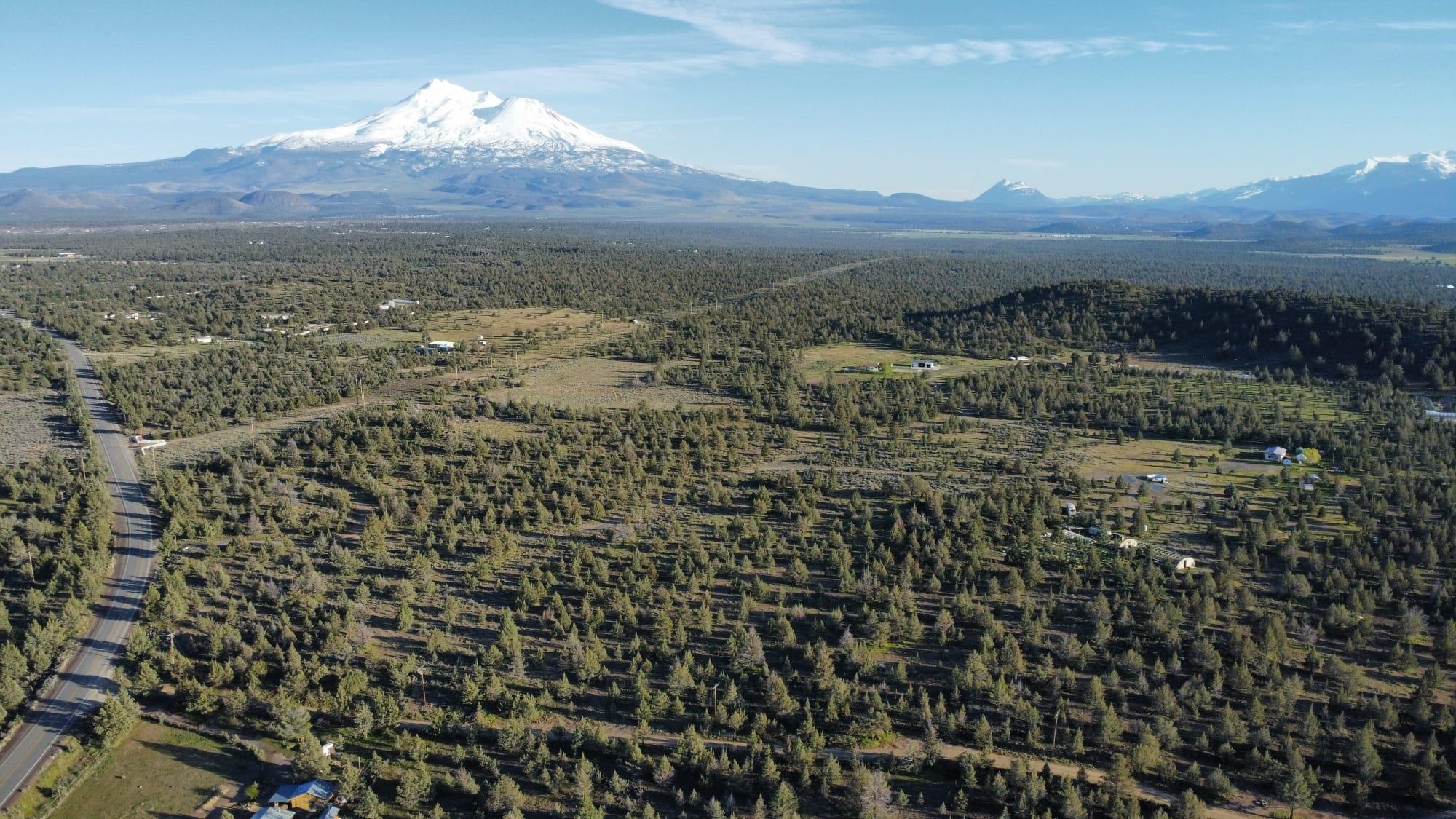 10110 Highway A 12 (Parcel 2) 42.55Acres