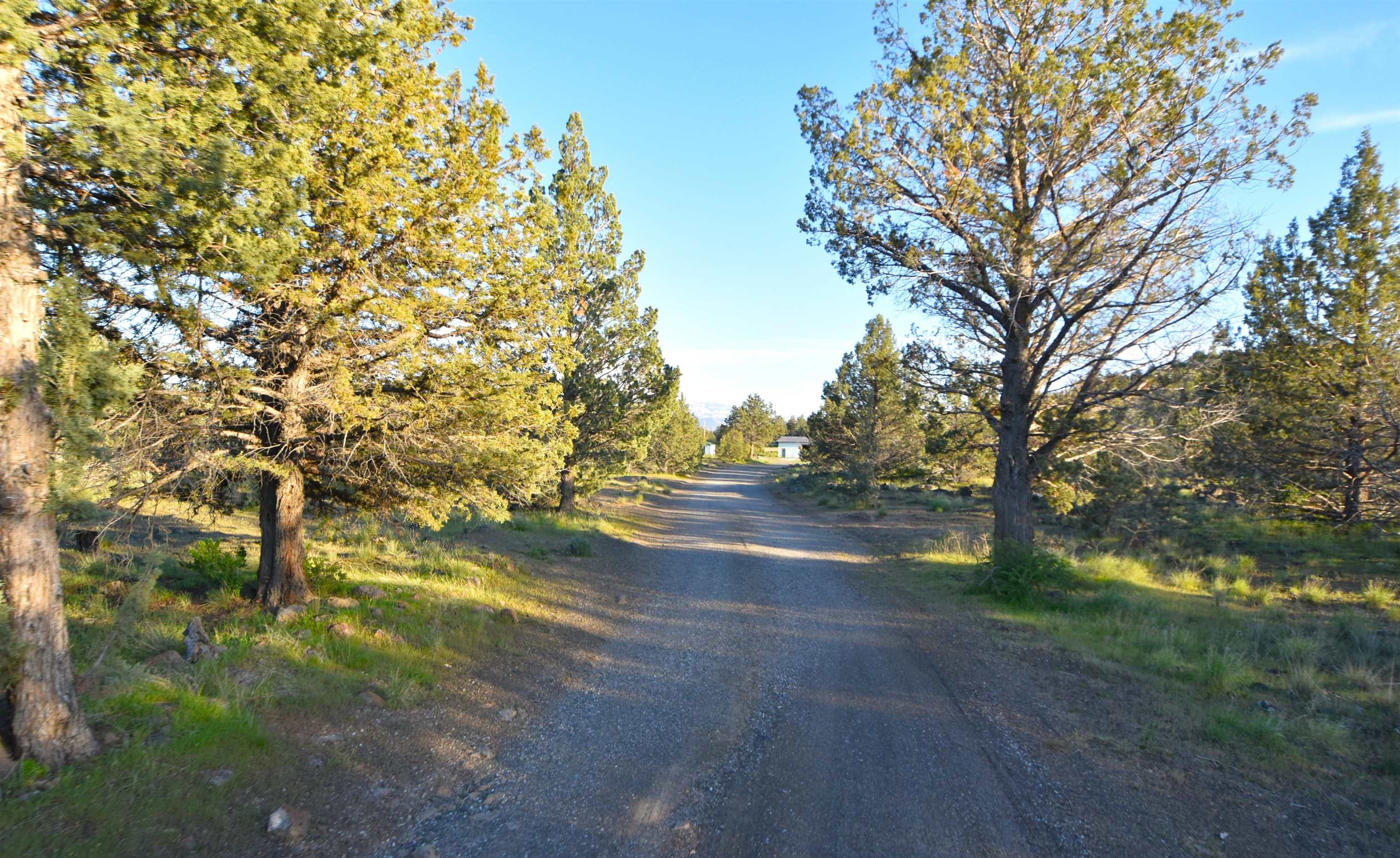 10110 Highway A 12 (Parcel 2) 42.55Acres