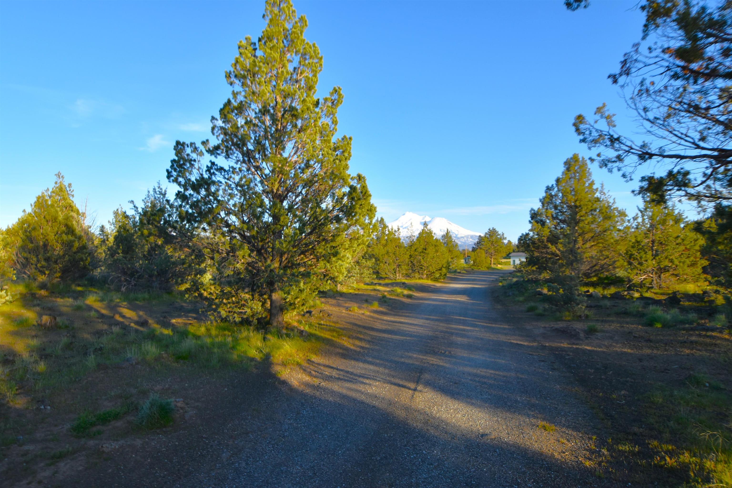 10110 Highway A 12 (Parcel 2) 42.55Acres