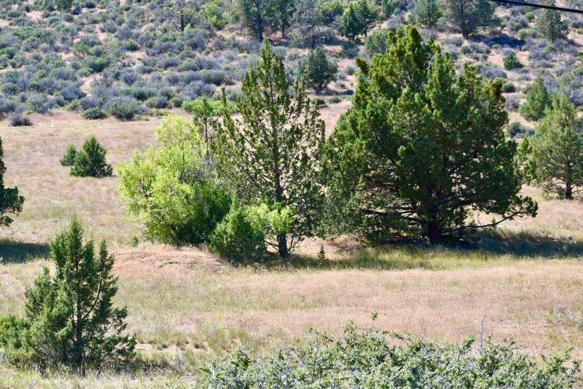 8919 Cram Gulch