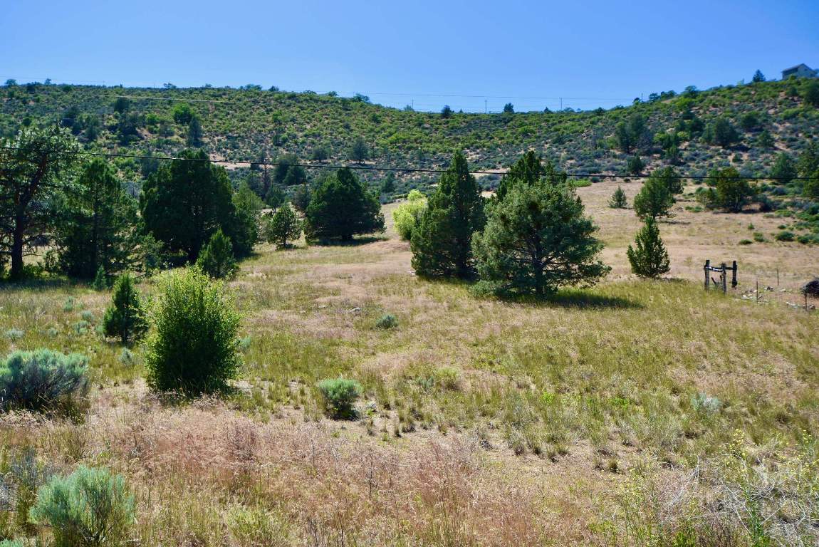 8919 Cram Gulch