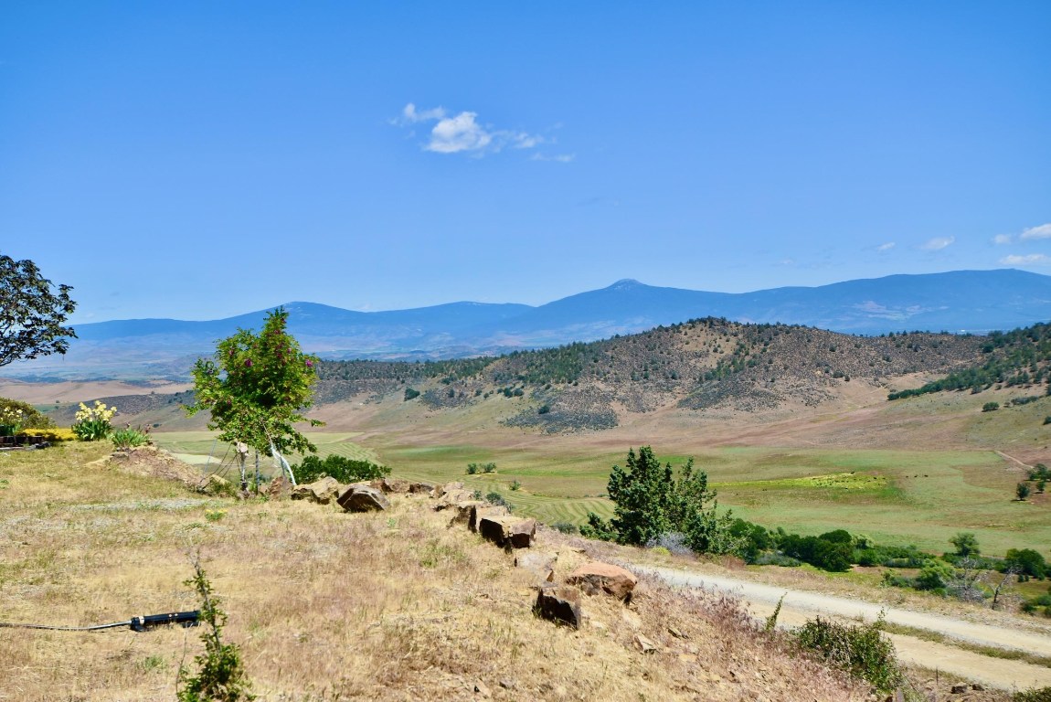 8919 Cram Gulch