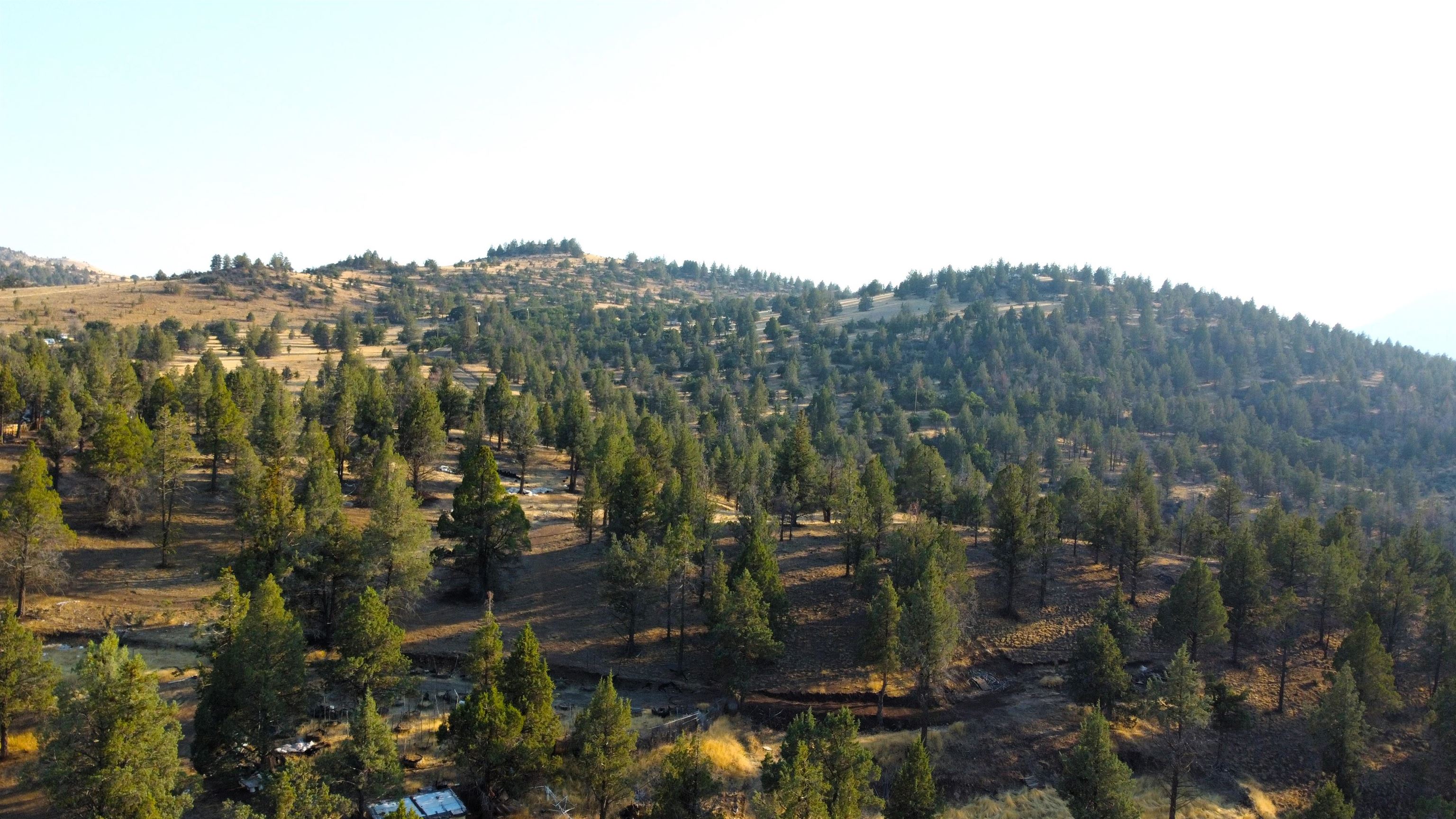 Unit 4 Lot 63 Whitepine Rd.