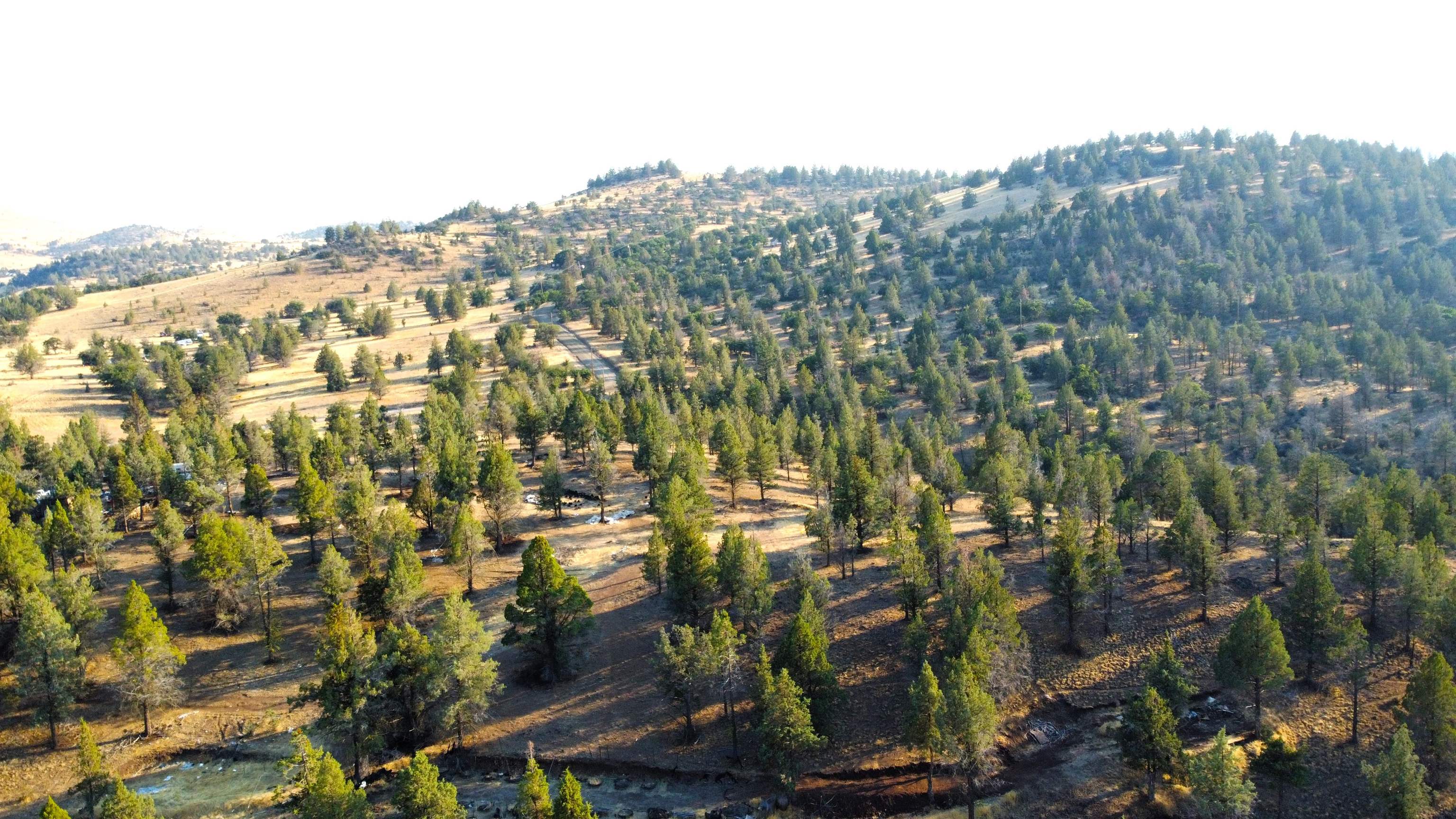 Unit 4 Lot 63 Whitepine Rd.