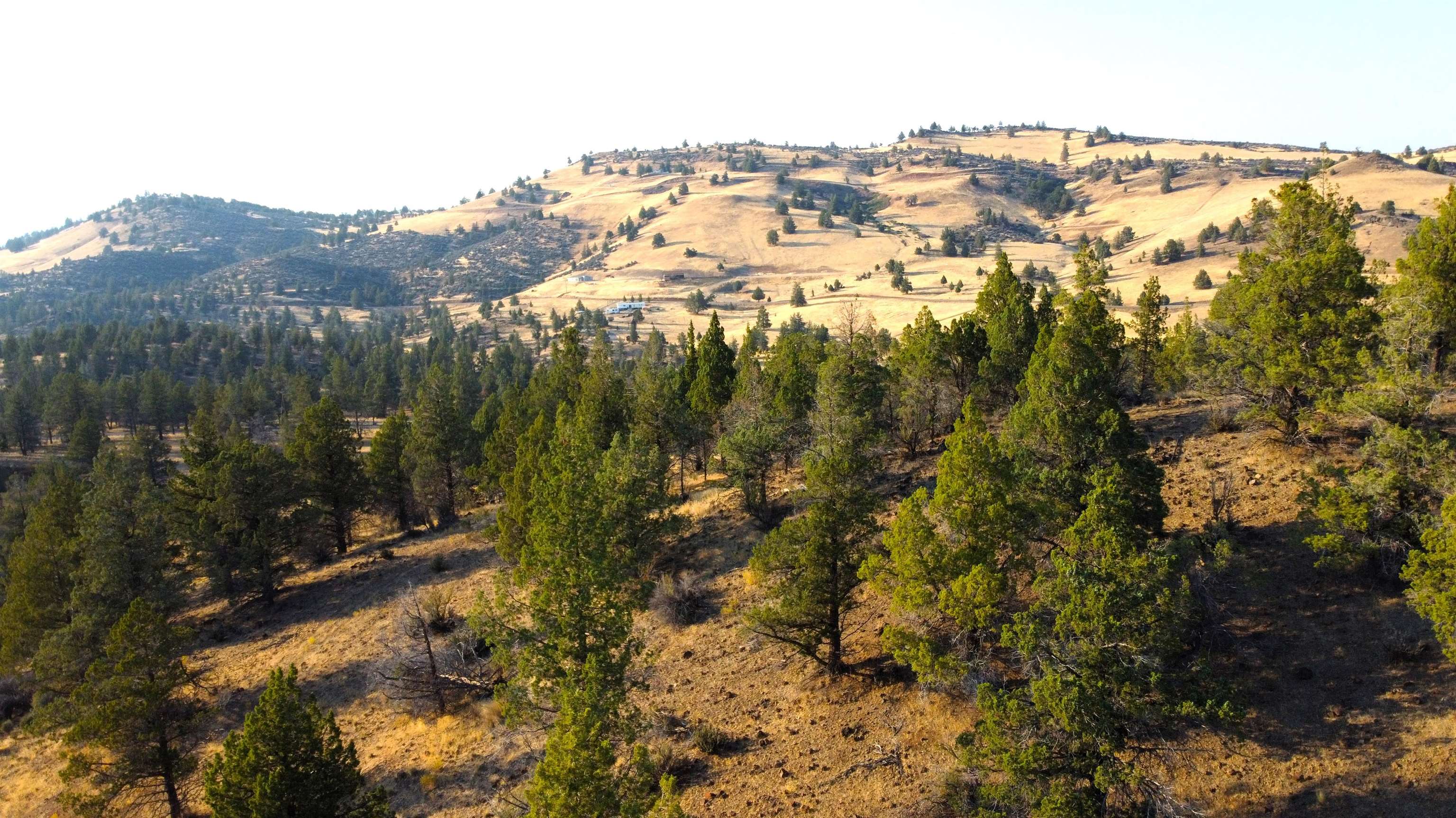 Unit 4 Lot 63 Whitepine Rd.