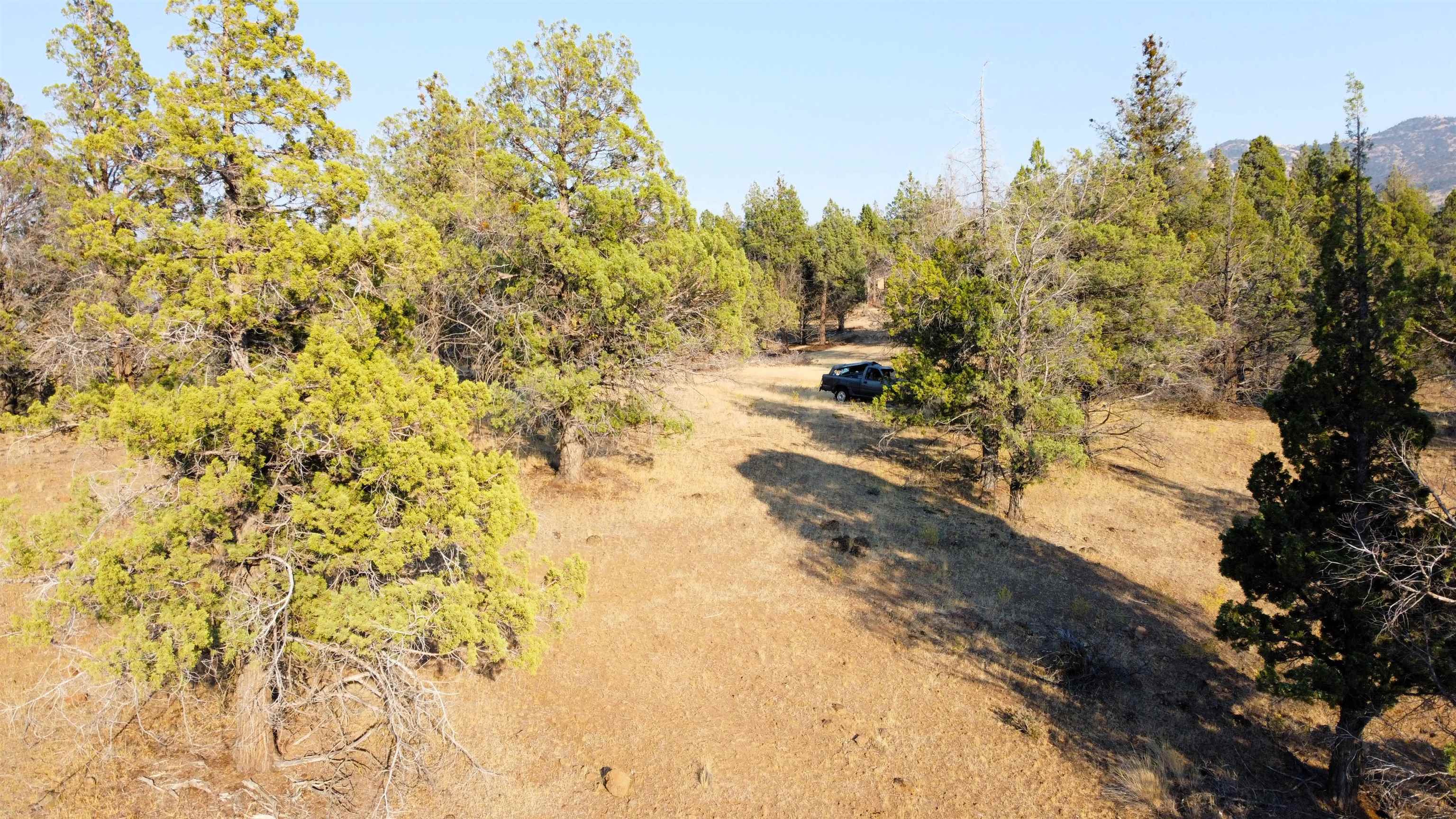 Unit 4 Lot 63 Whitepine Rd.