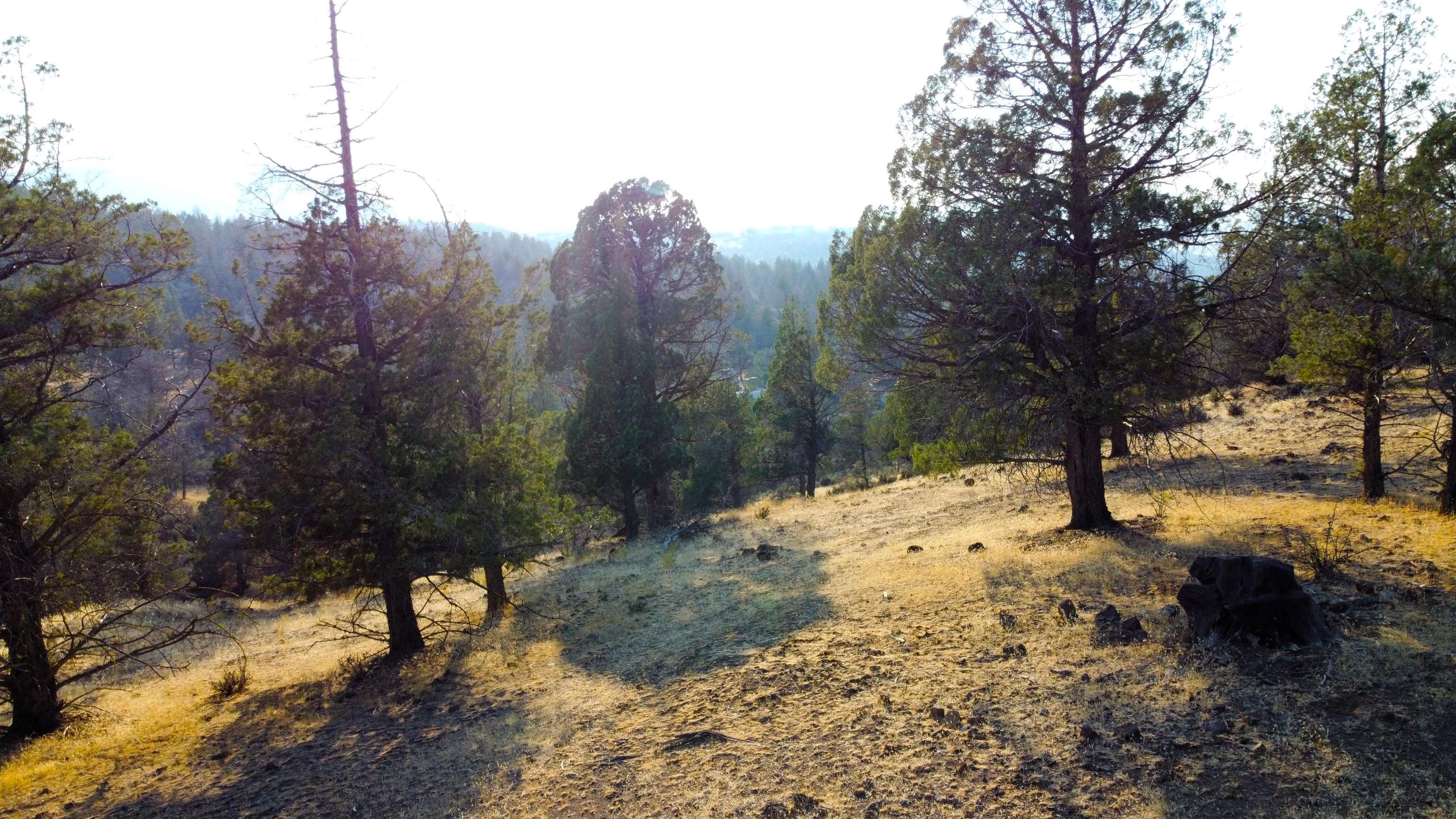 Unit 4 Lot 63 Whitepine Rd.