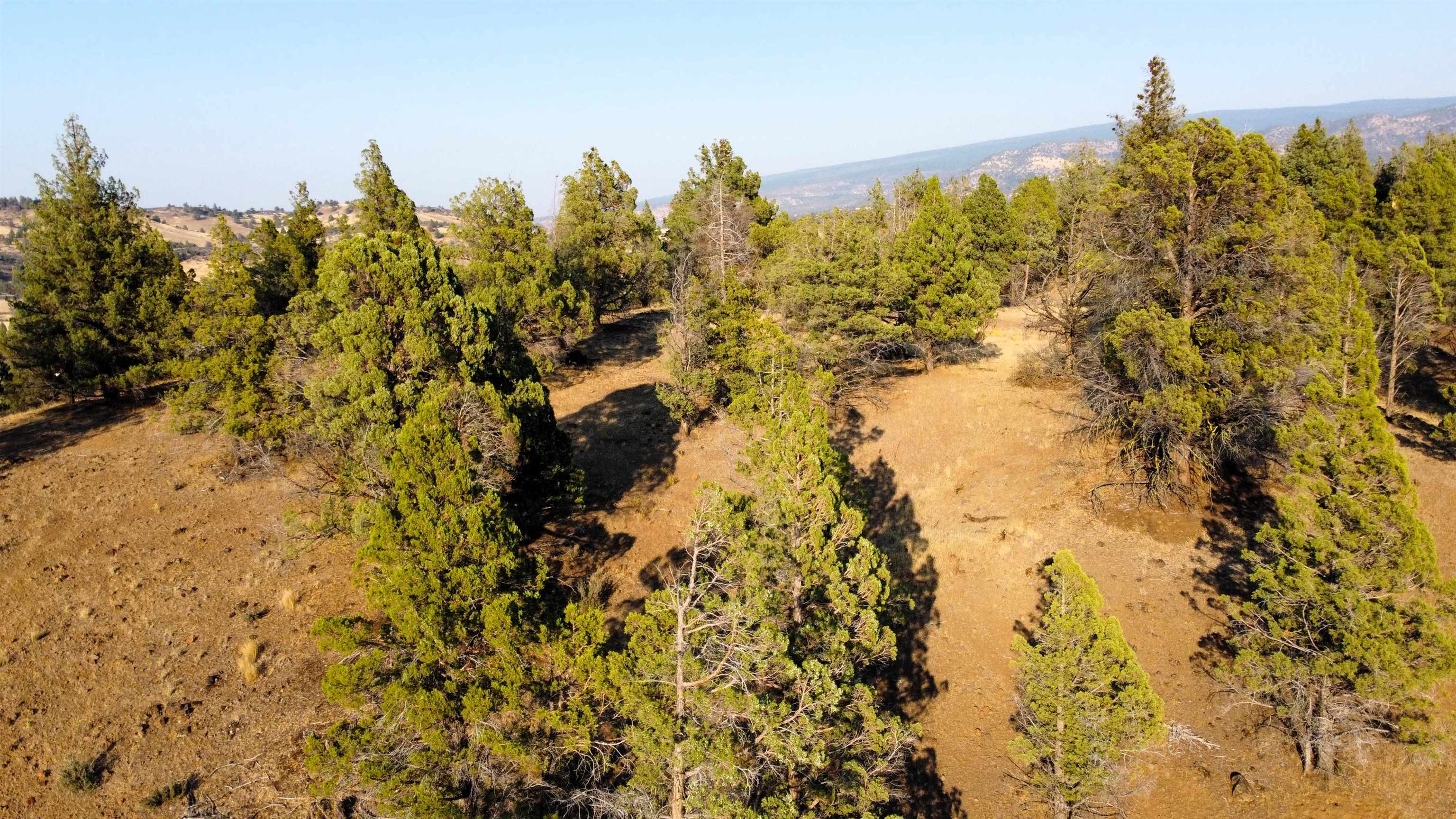 Unit 4 Lot 63 Whitepine Rd.