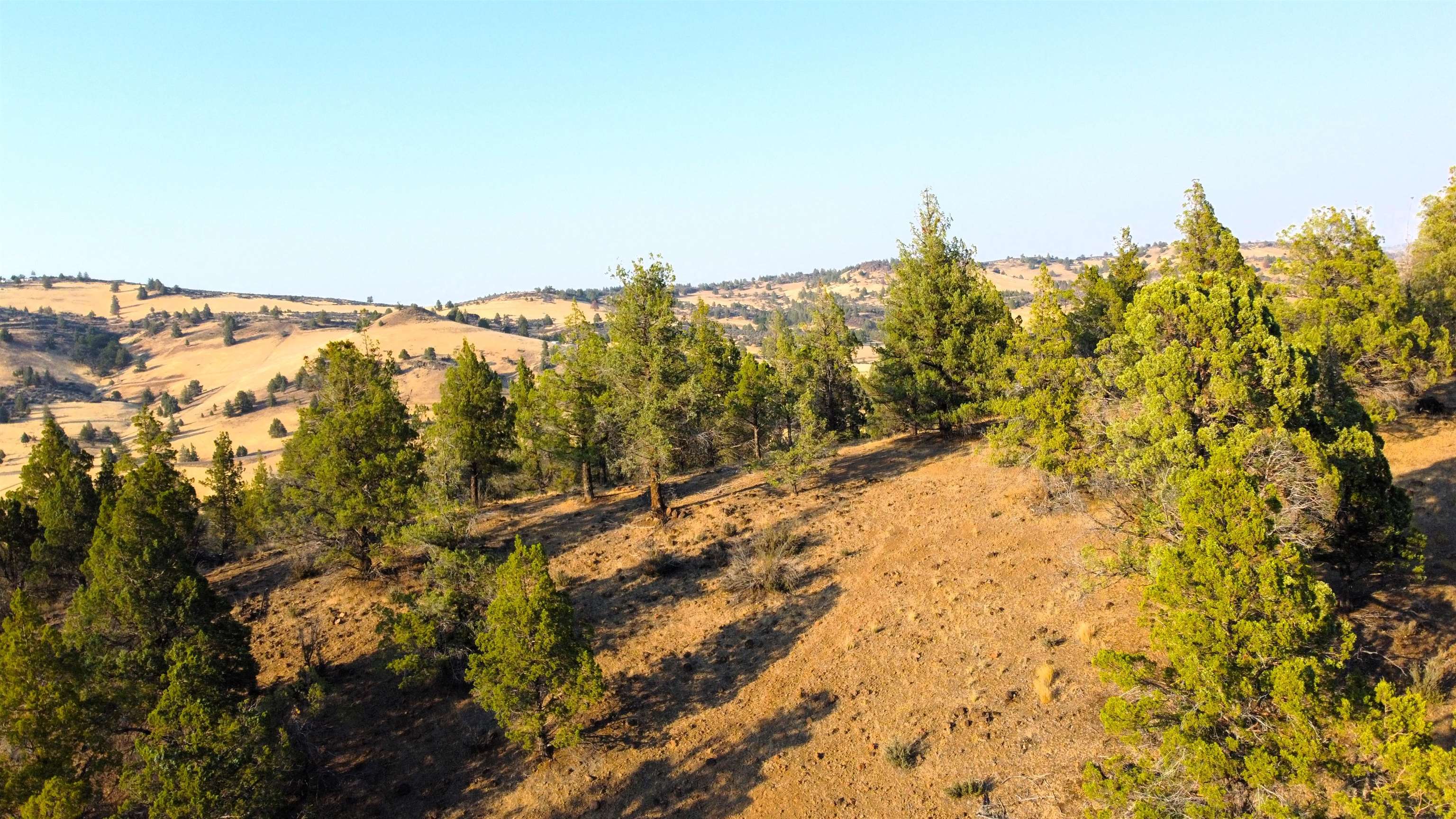 Unit 4 Lot 63 Whitepine Rd.