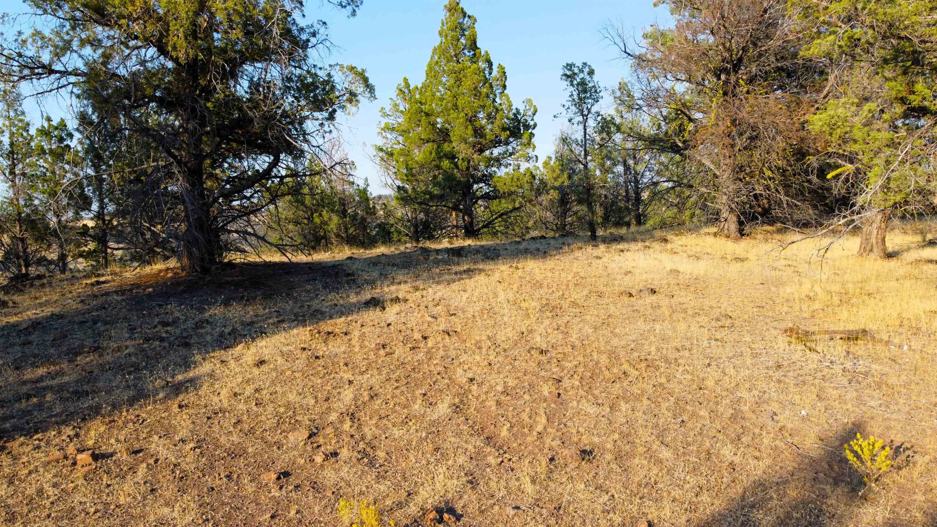 Unit 4 Lot 63 Whitepine Rd.
