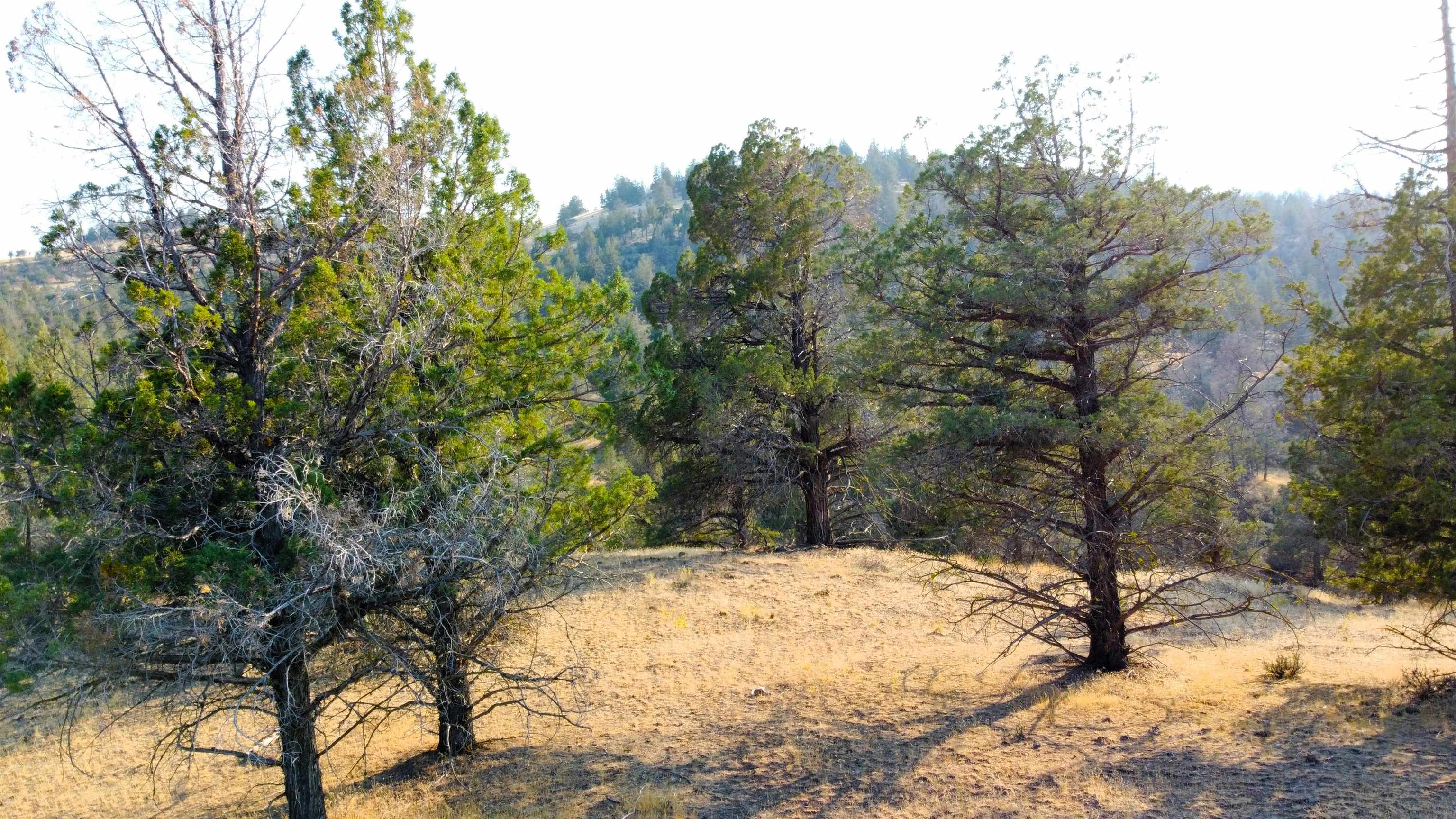 Unit 4 Lot 63 Whitepine Rd.