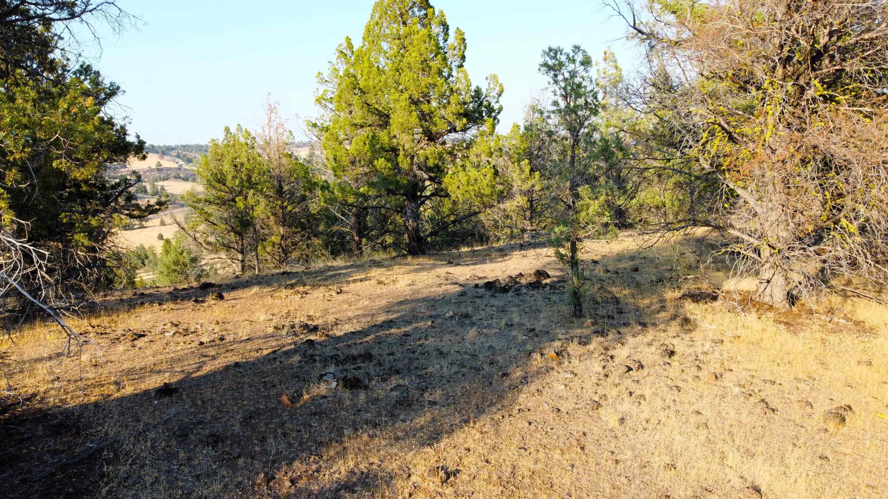 Unit 4 Lot 63 Whitepine Rd.