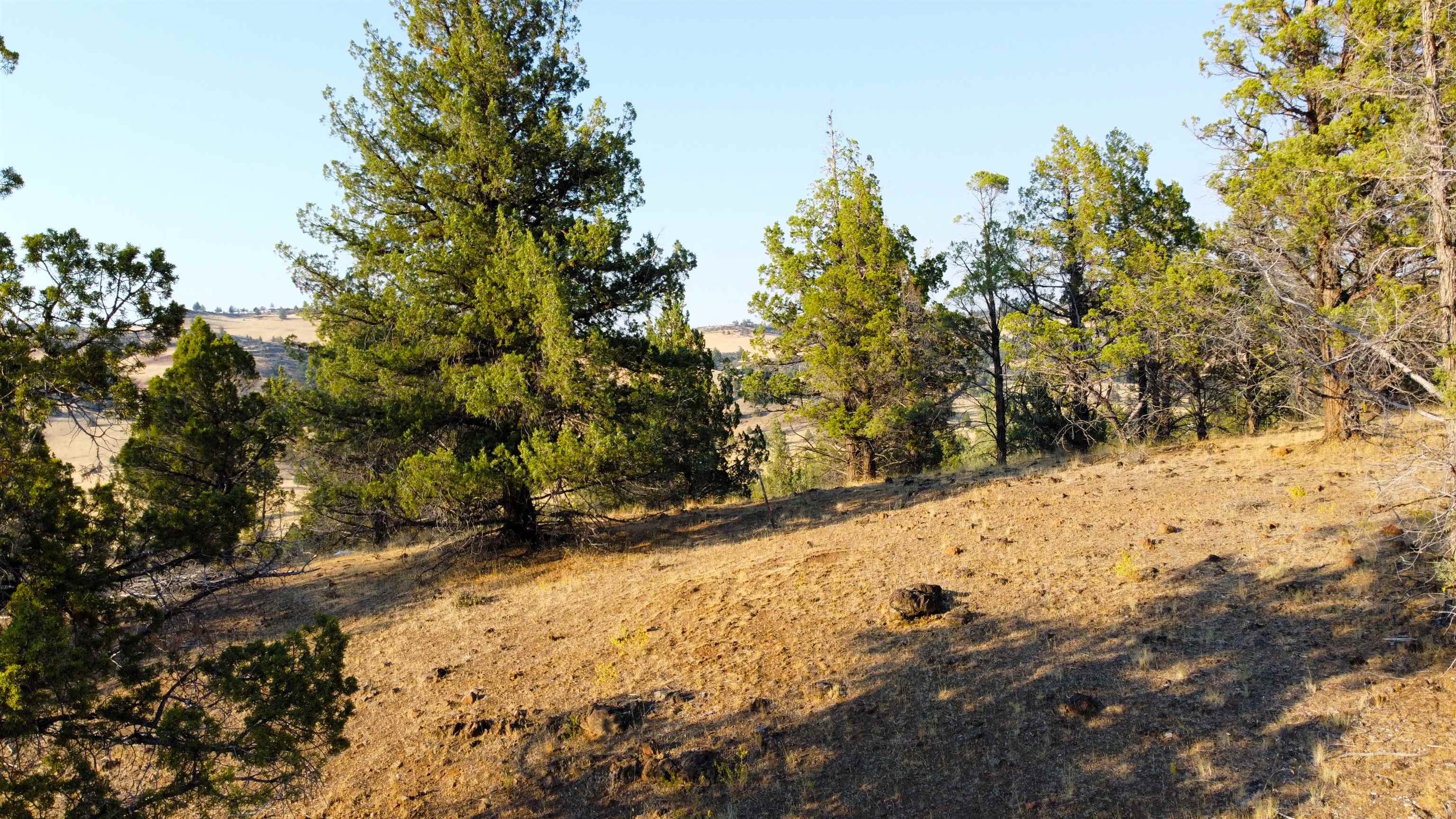 Unit 4 Lot 63 Whitepine Rd.