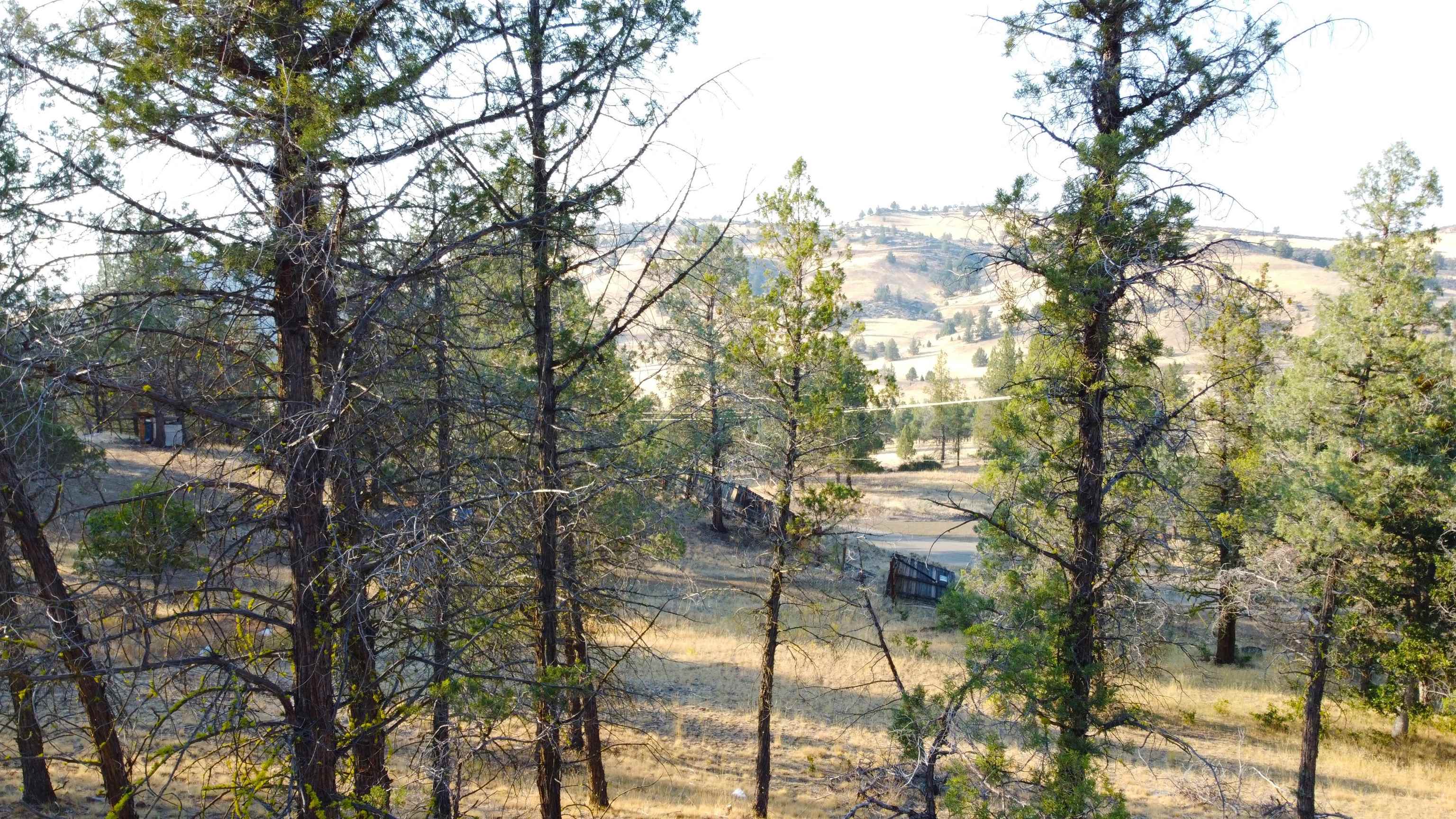 Unit 4 Lot 63 Whitepine Rd.