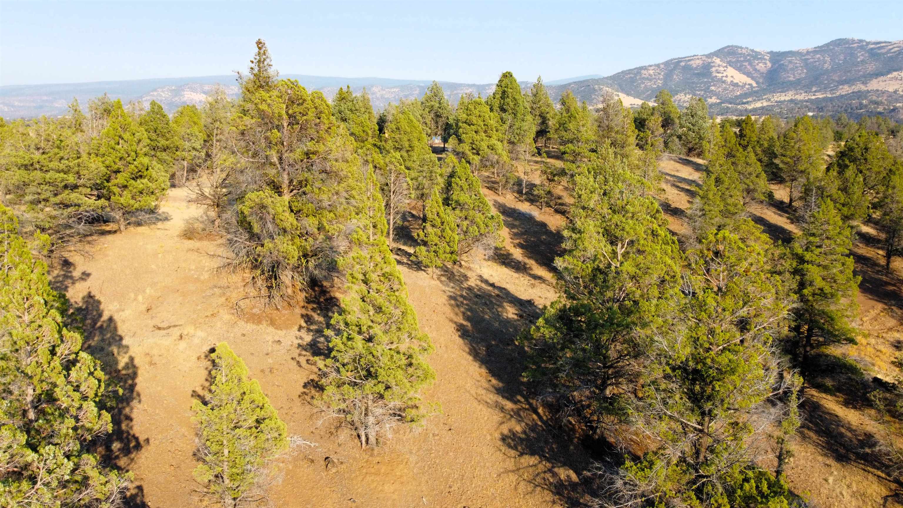 Unit 4 Lot 63 Whitepine Rd.