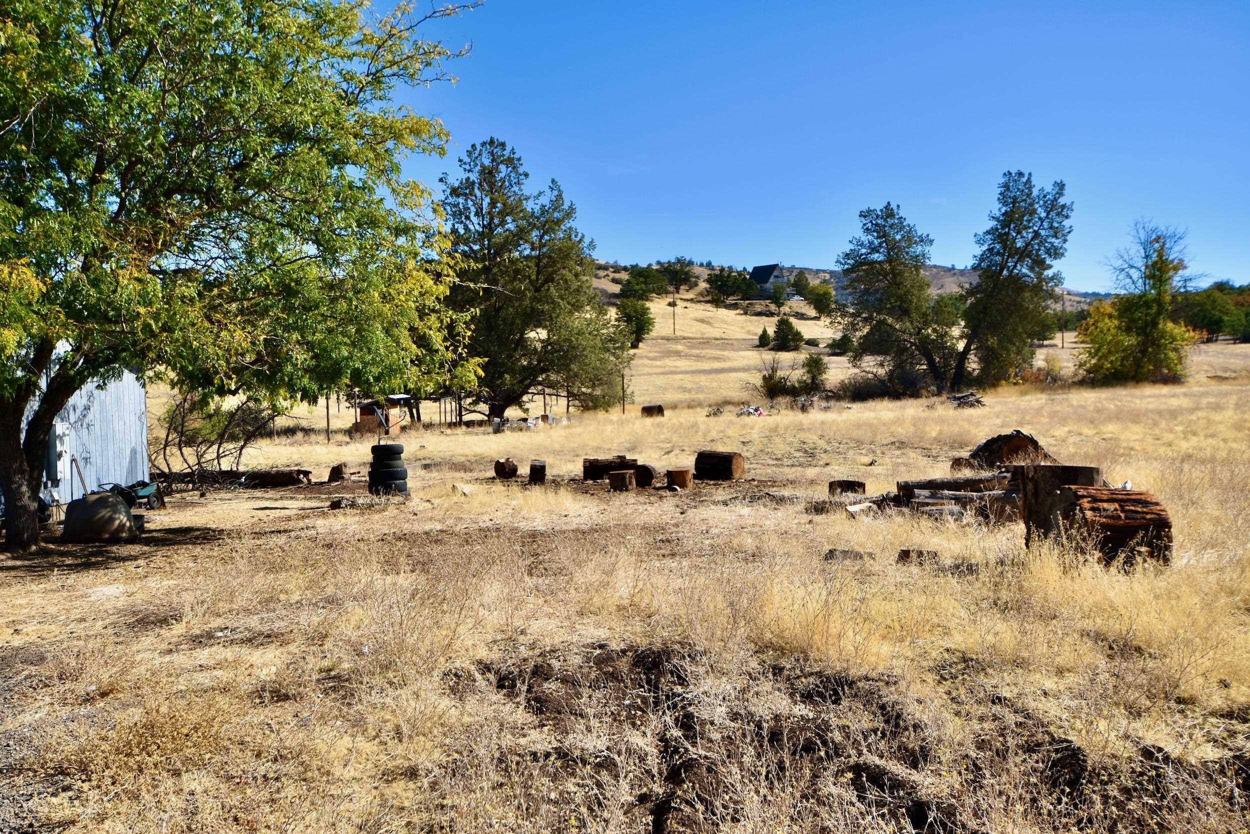 6307 Dolomite