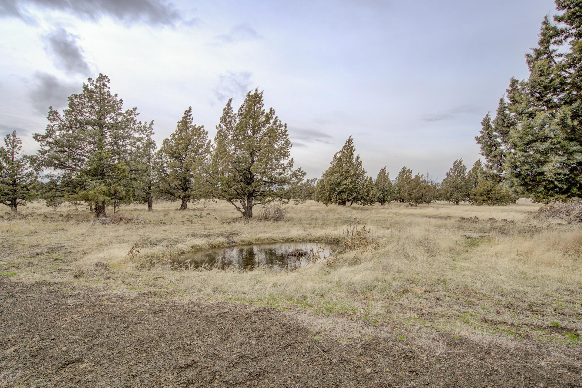 11407 Big Springs Rd