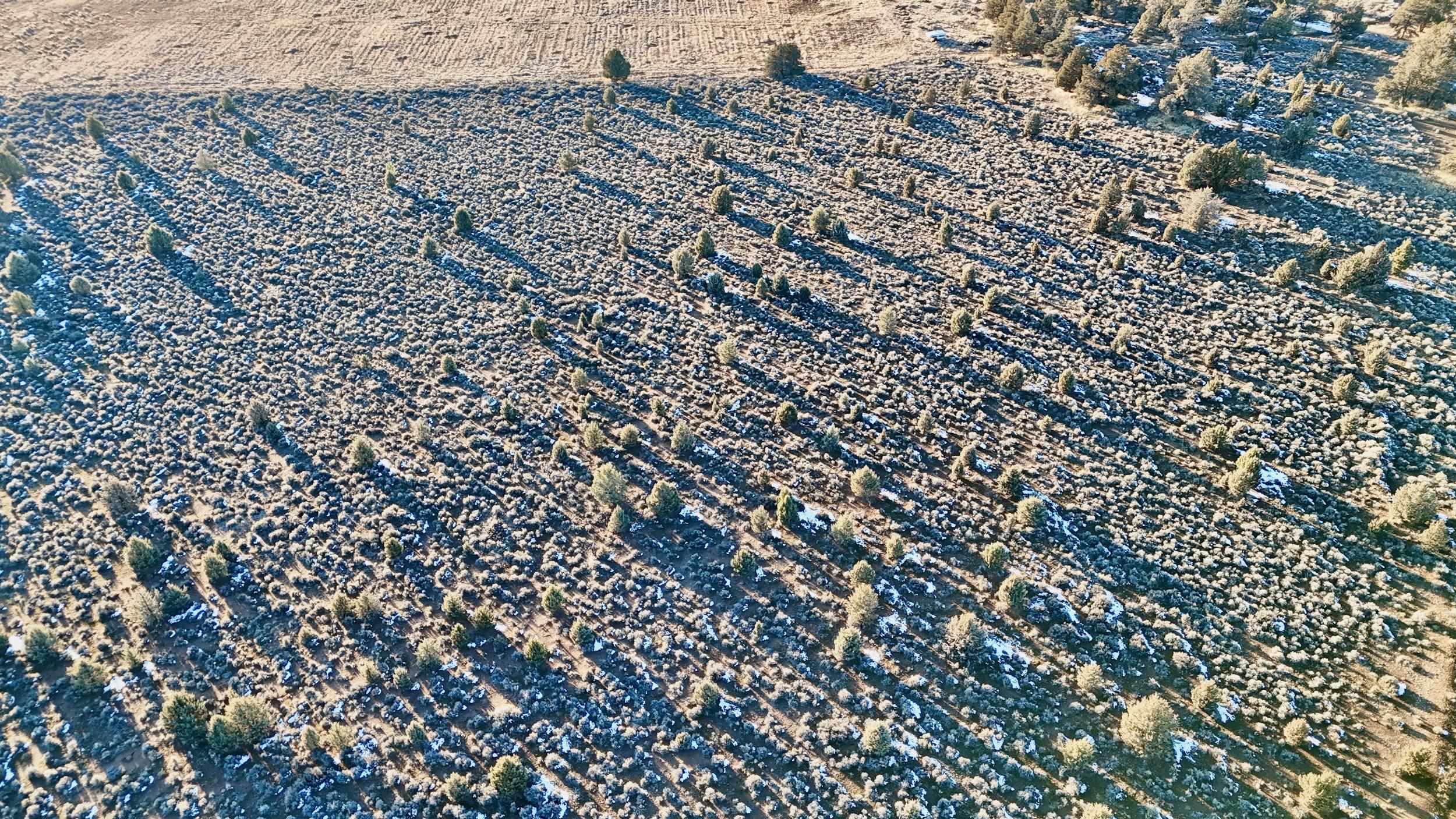 xx Red Rock Rd