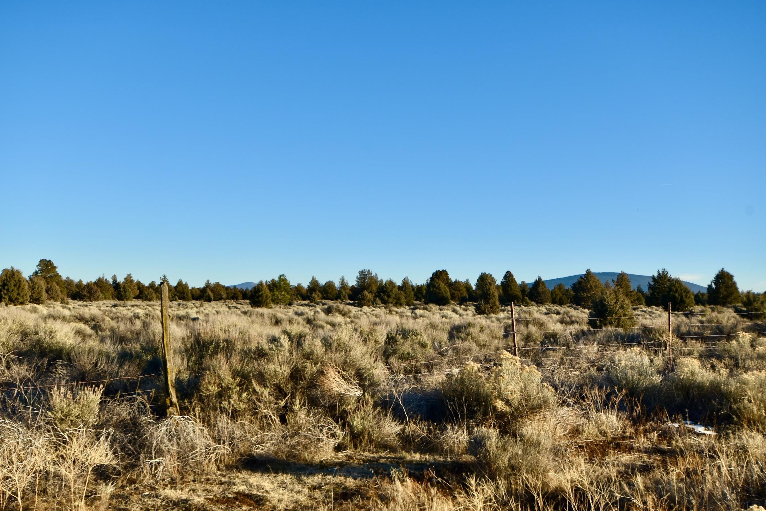 xx Red Rock Rd