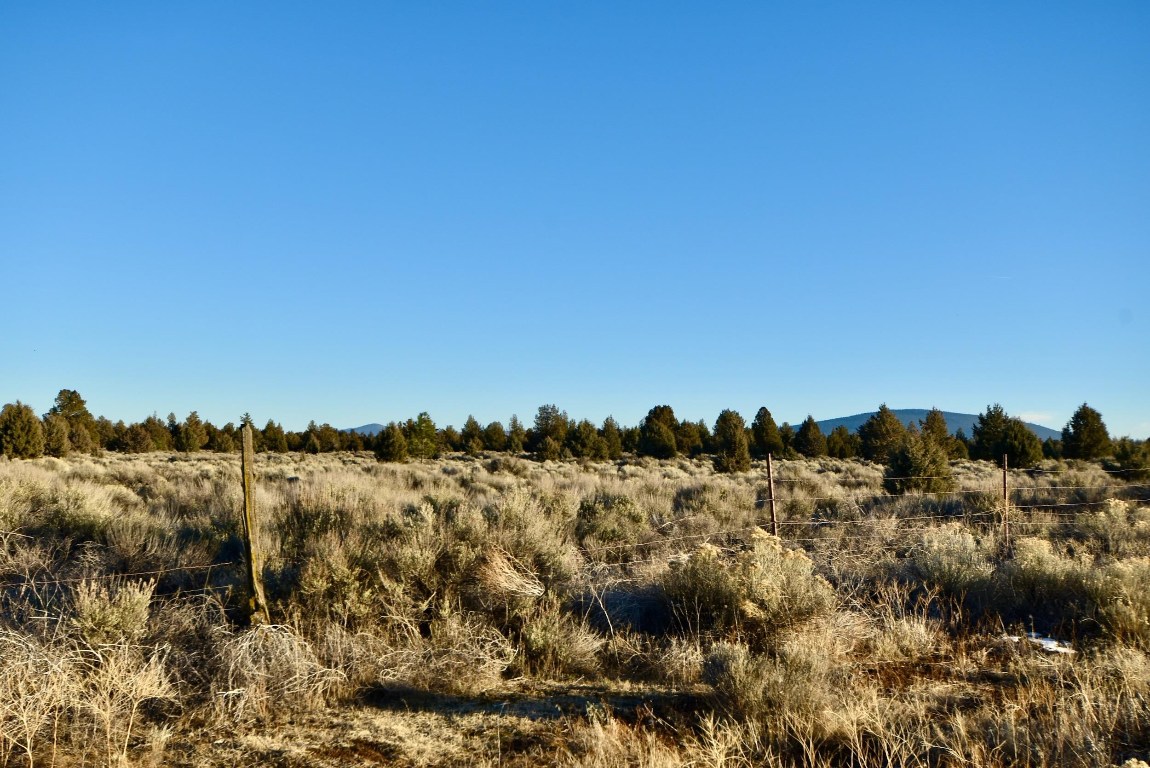xx Red Rock Rd