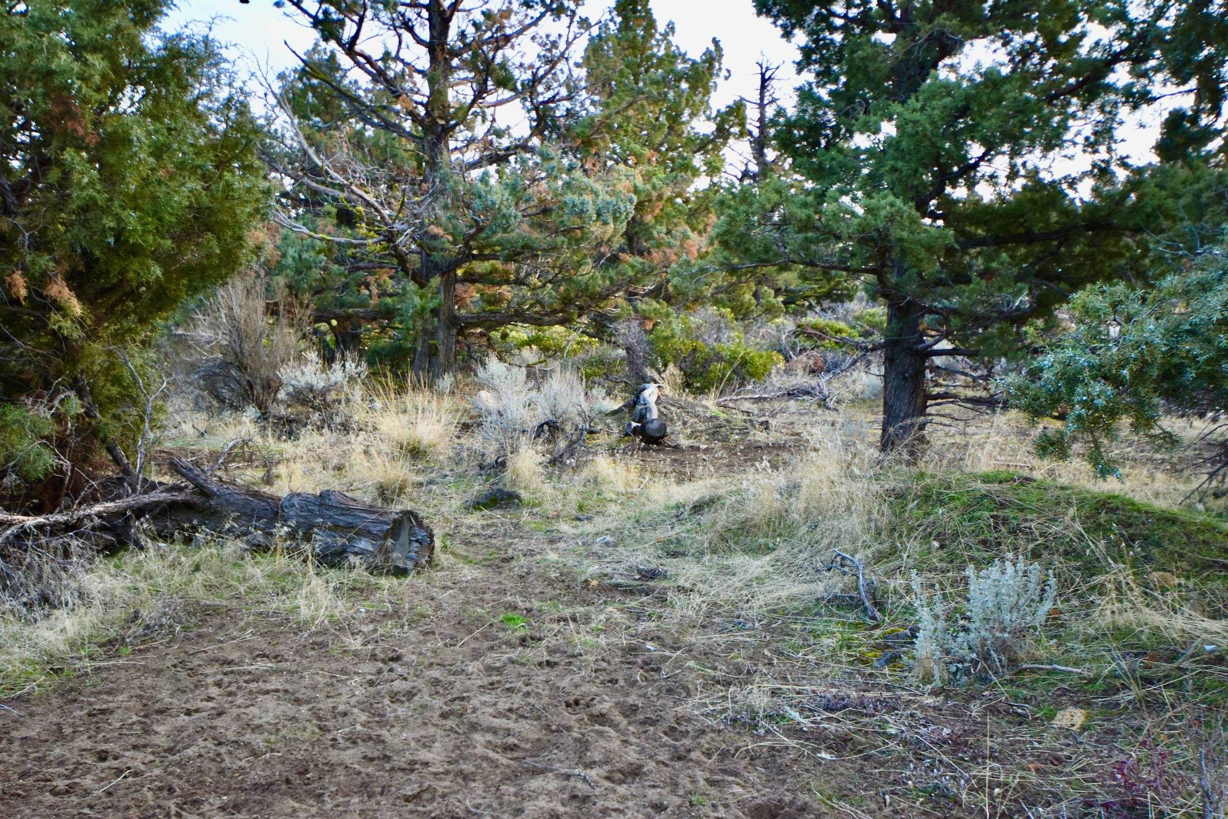 Lot 09 Christina Dr.