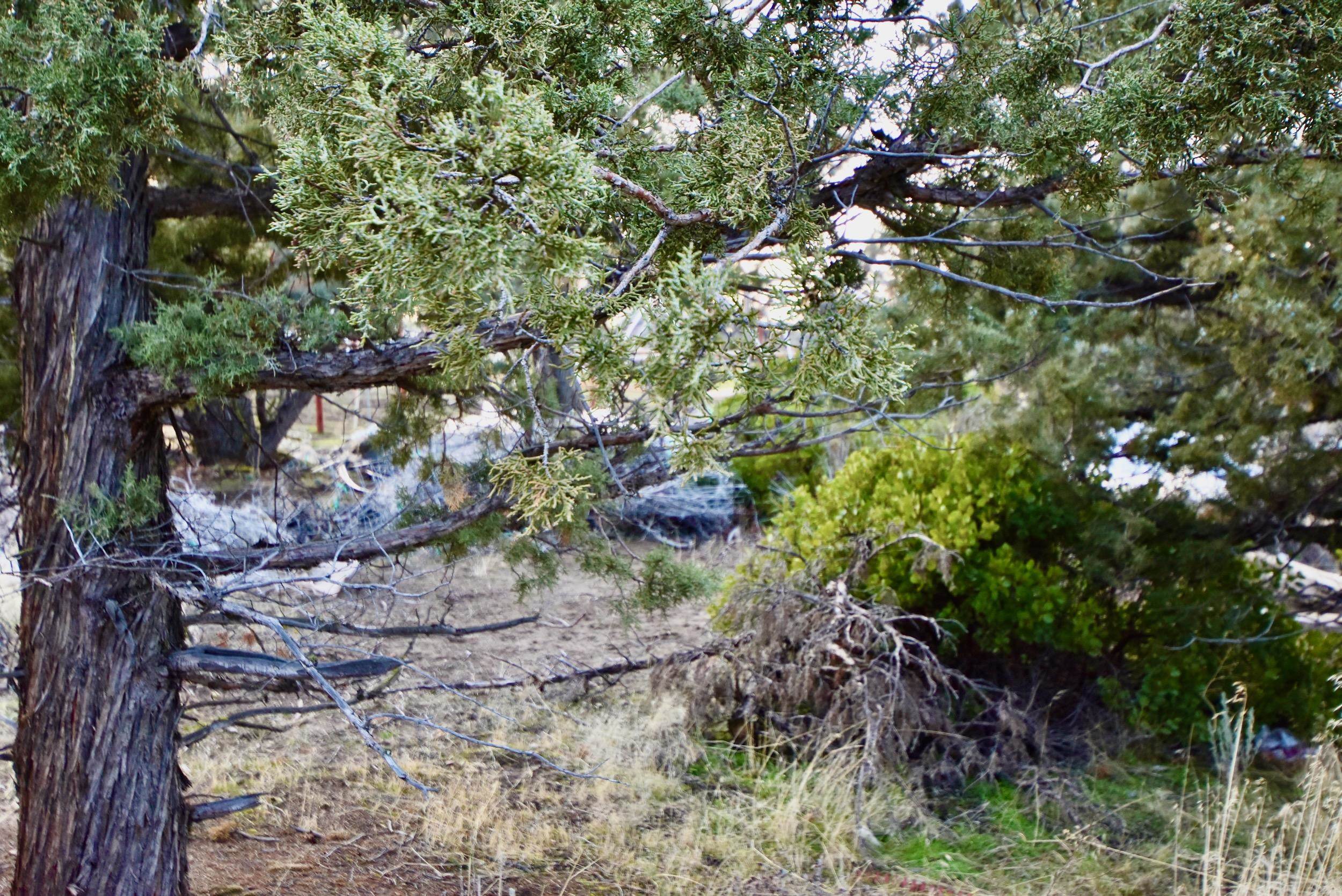 Lot 09 Christina Dr.