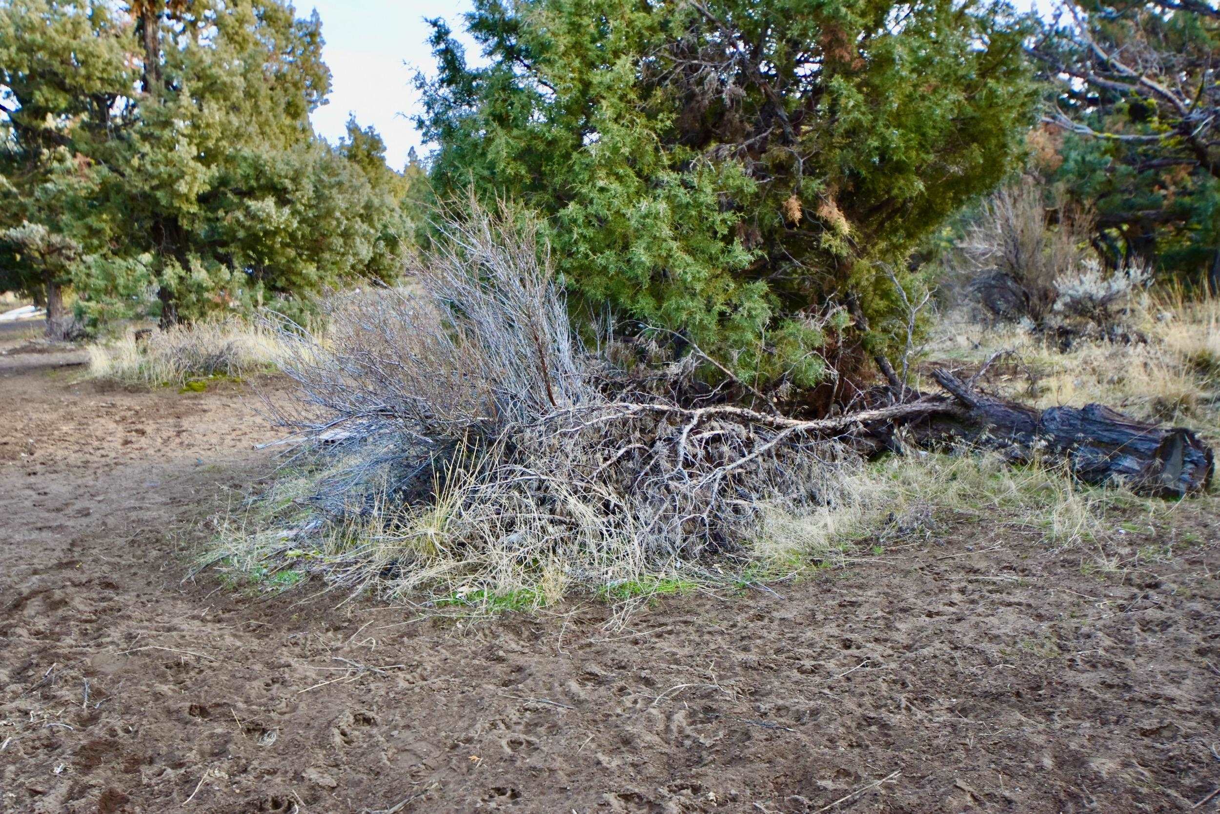 Lot 09 Christina Dr.