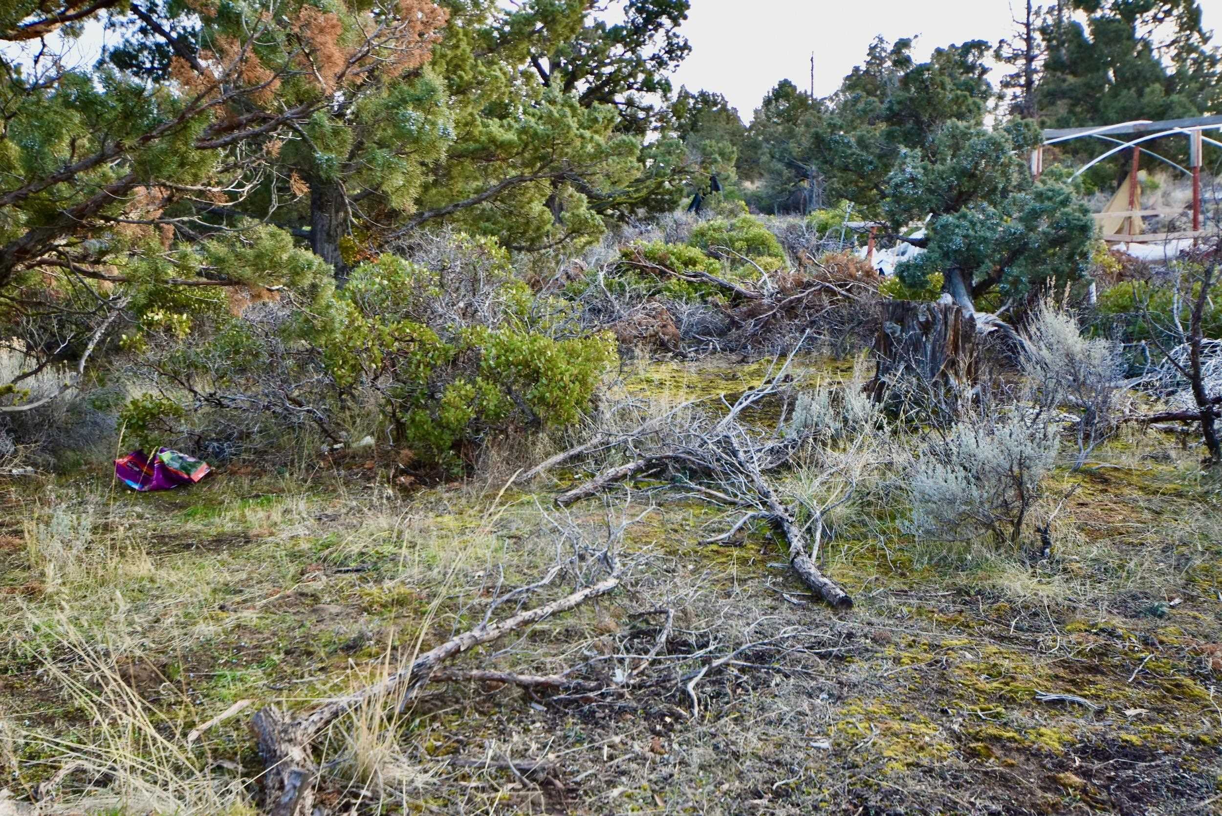 Lot 09 Christina Dr.