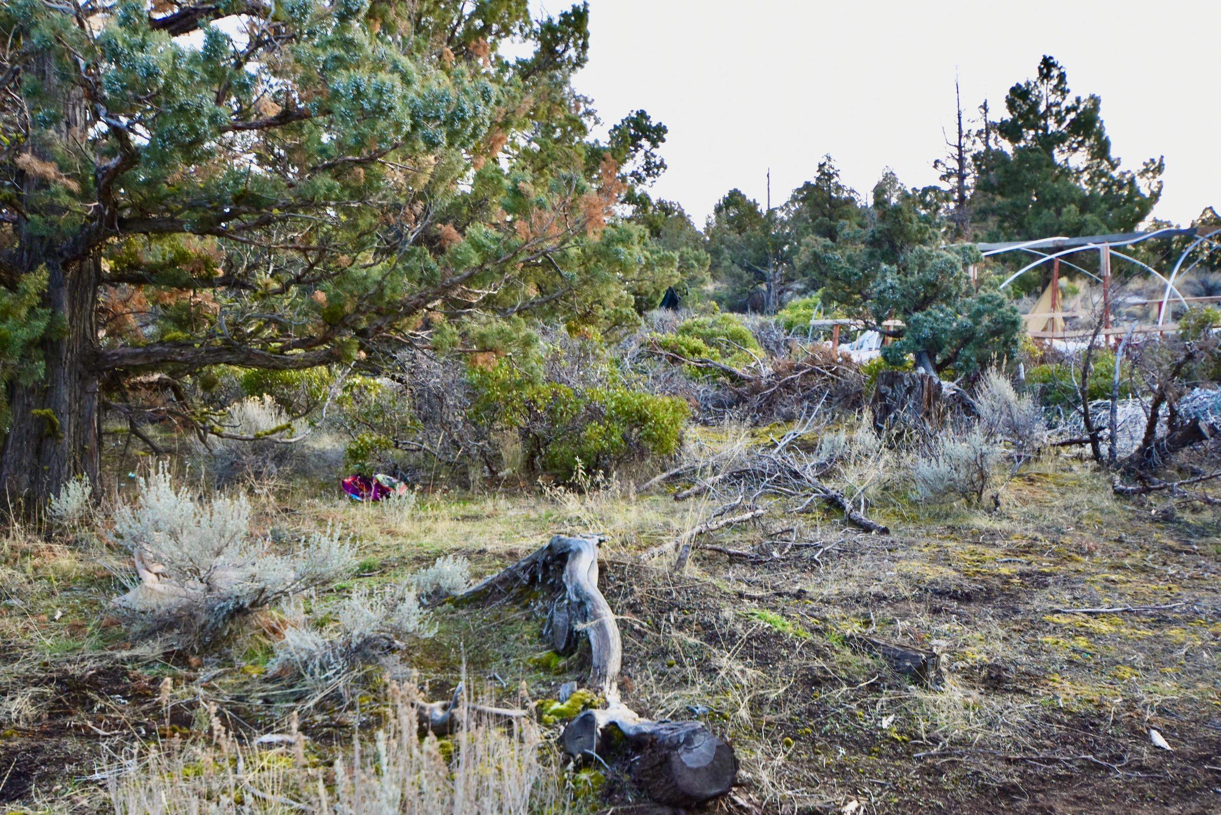 Lot 09 Christina Dr.