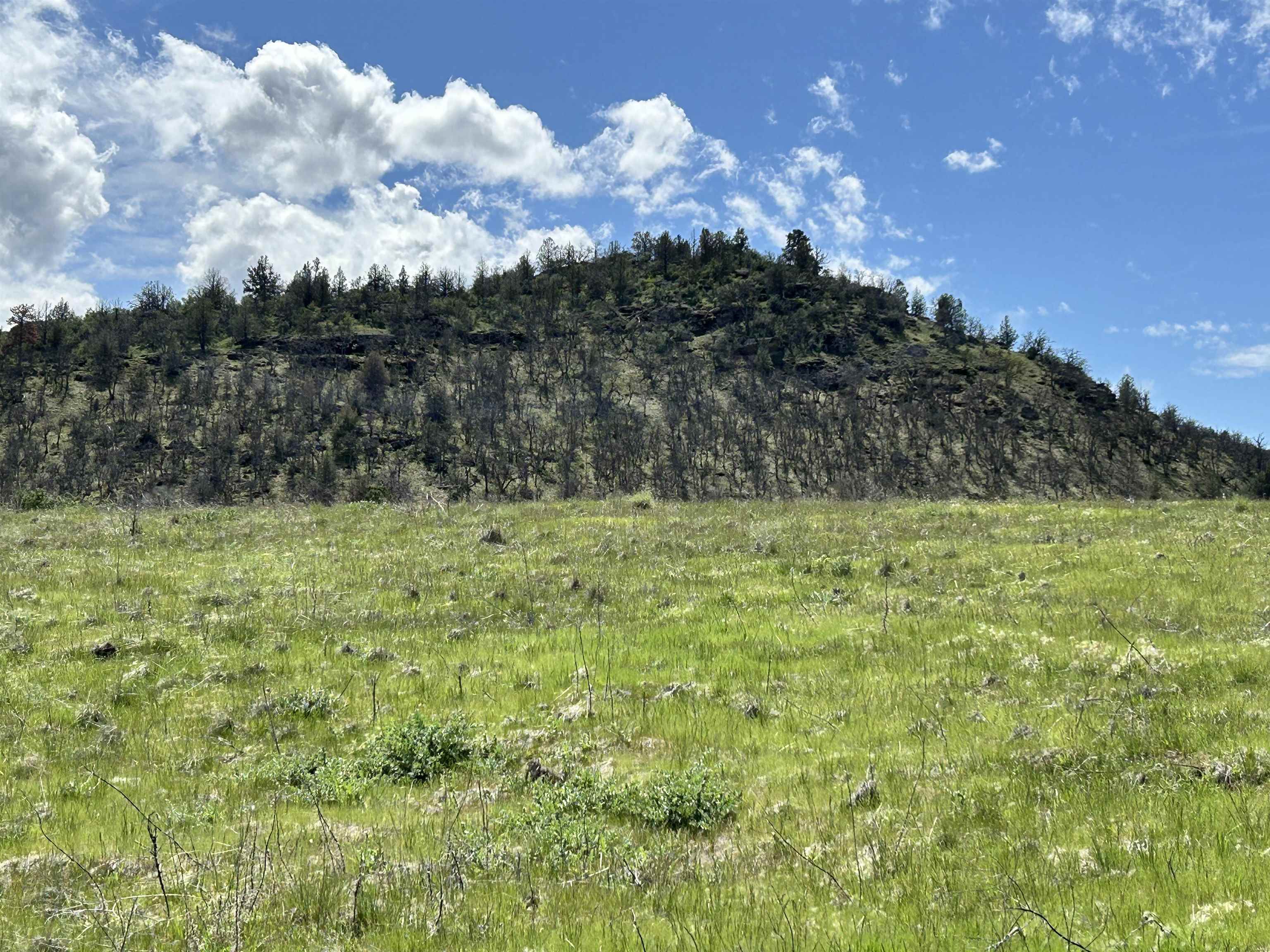 10 Acres Riverview Dr