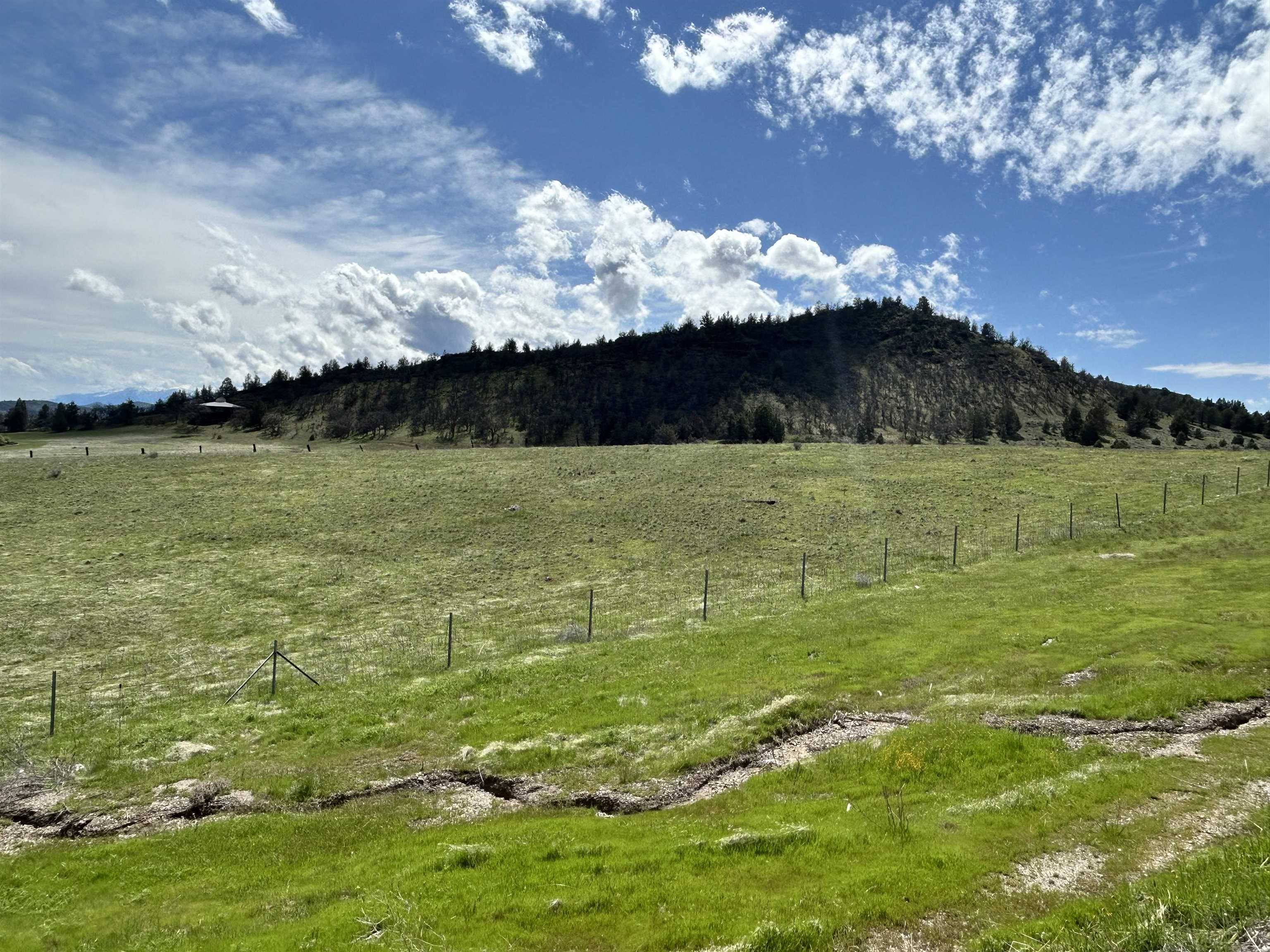 10 Acres Riverview Dr