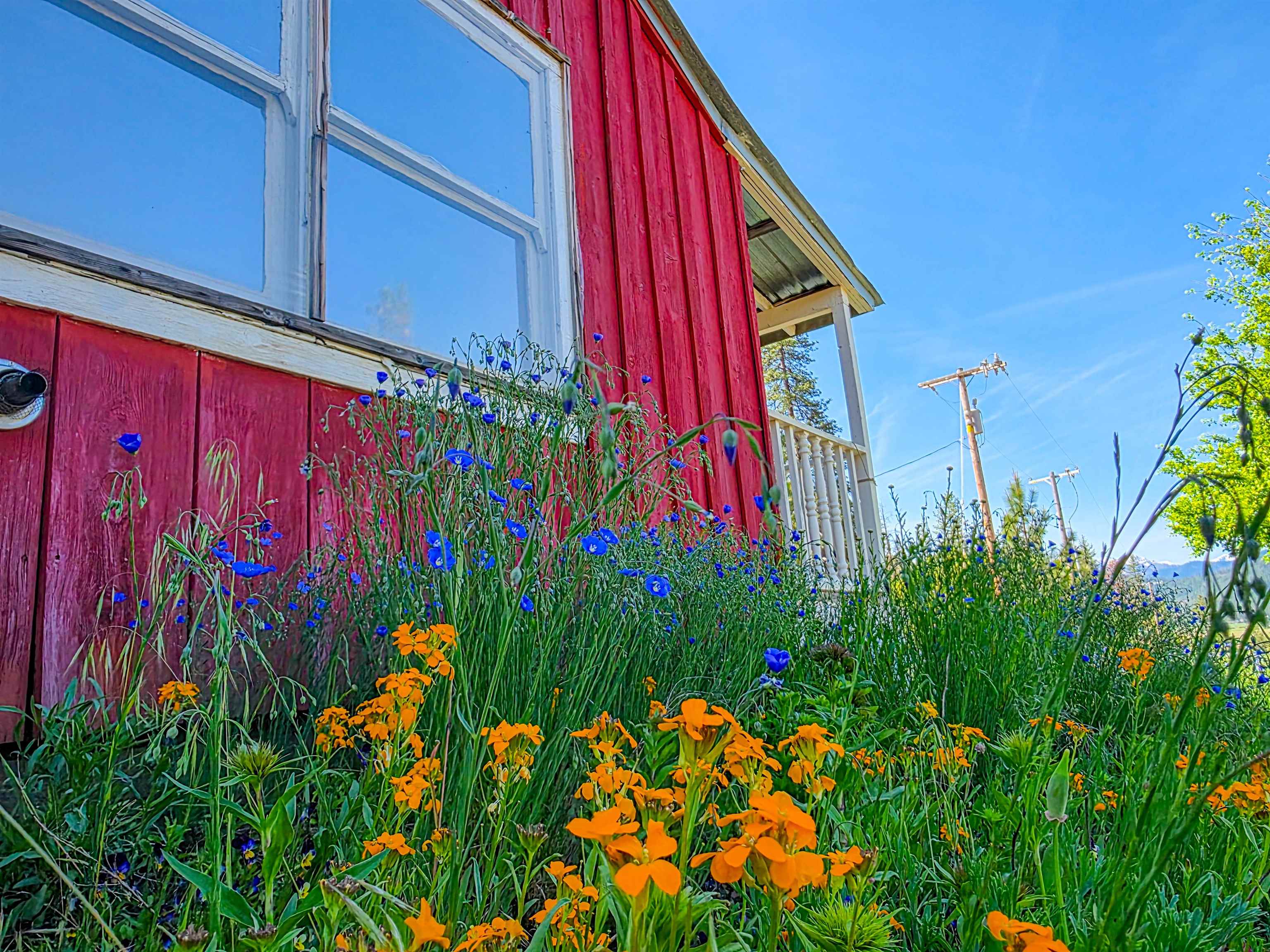 13505 Tyler Gulch Road