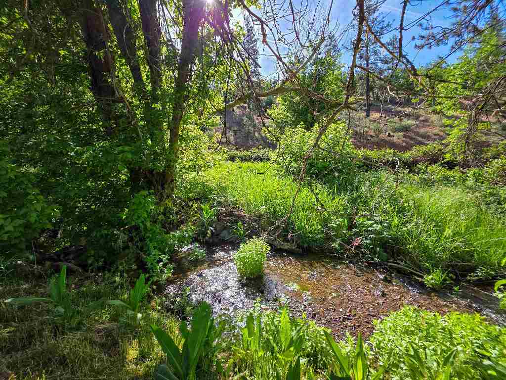 13505 Tyler Gulch Road