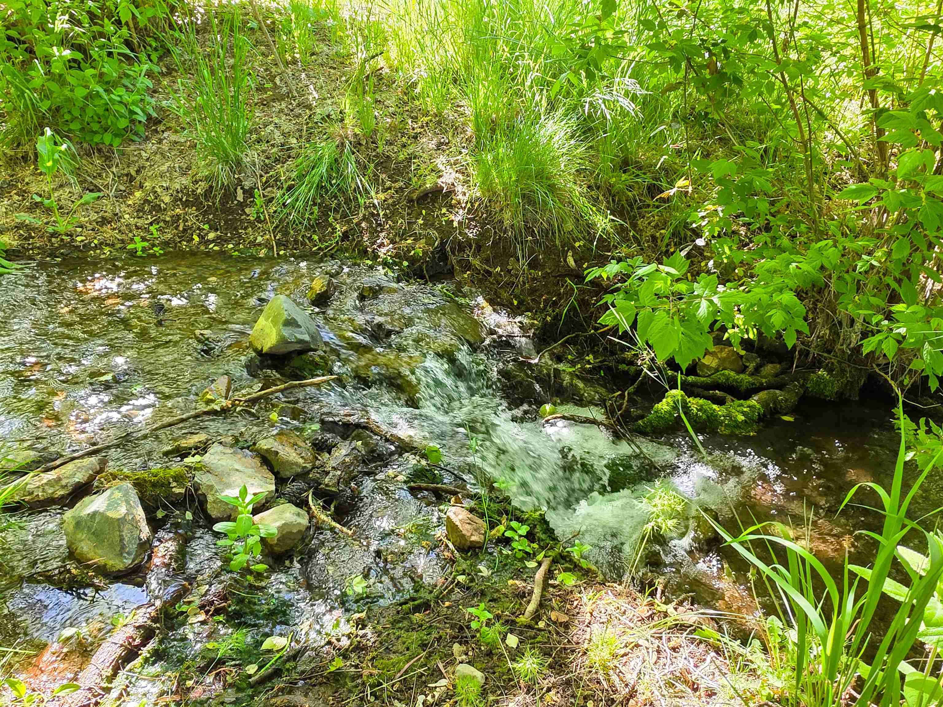 13505 Tyler Gulch Road