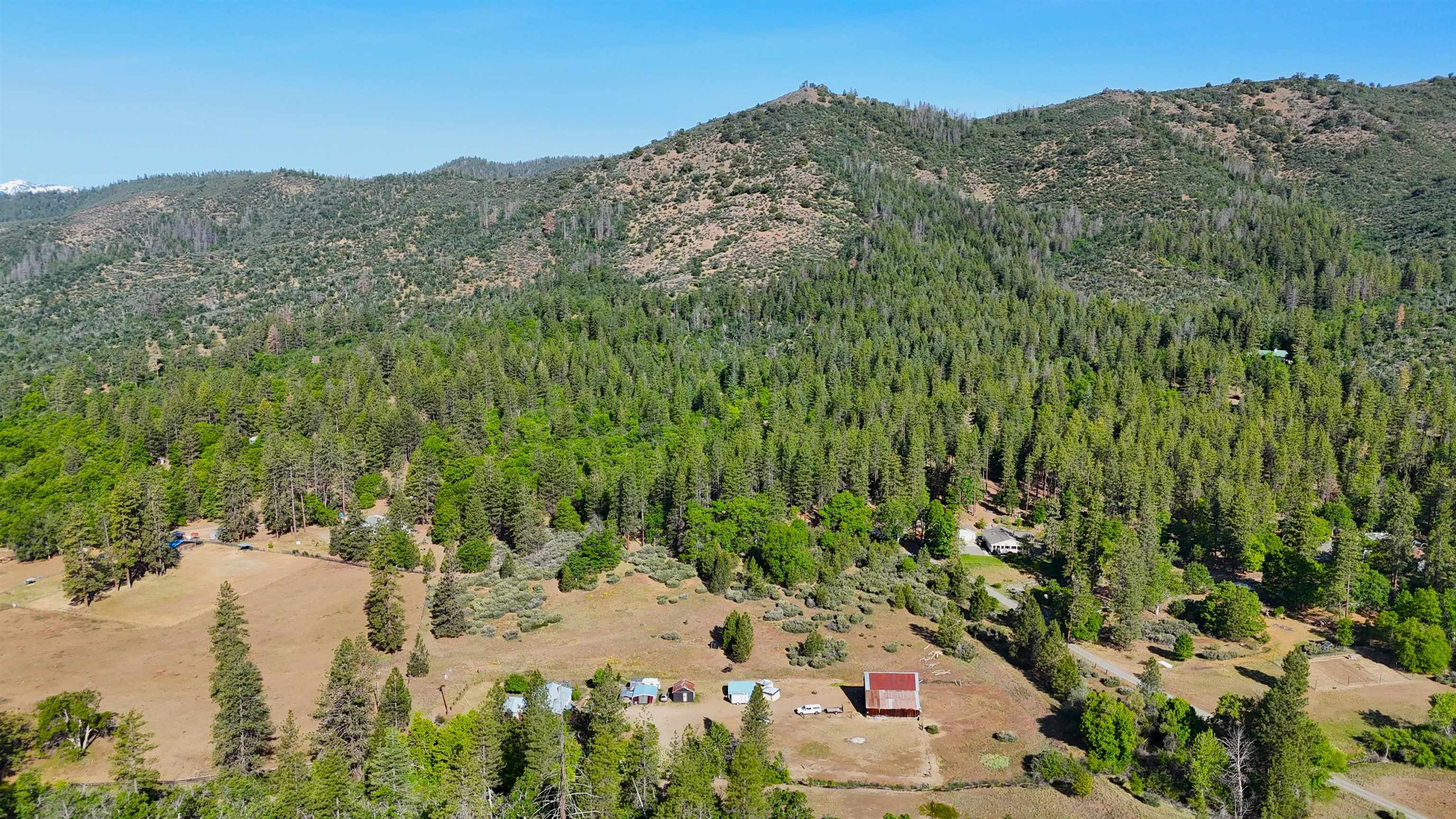 13505 Tyler Gulch Road