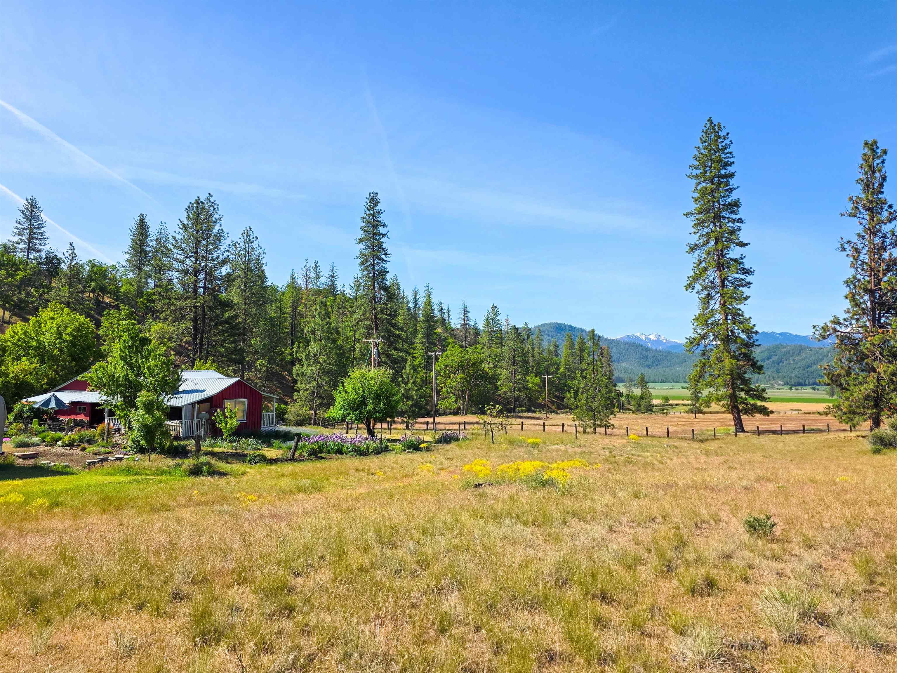 13505 Tyler Gulch Road