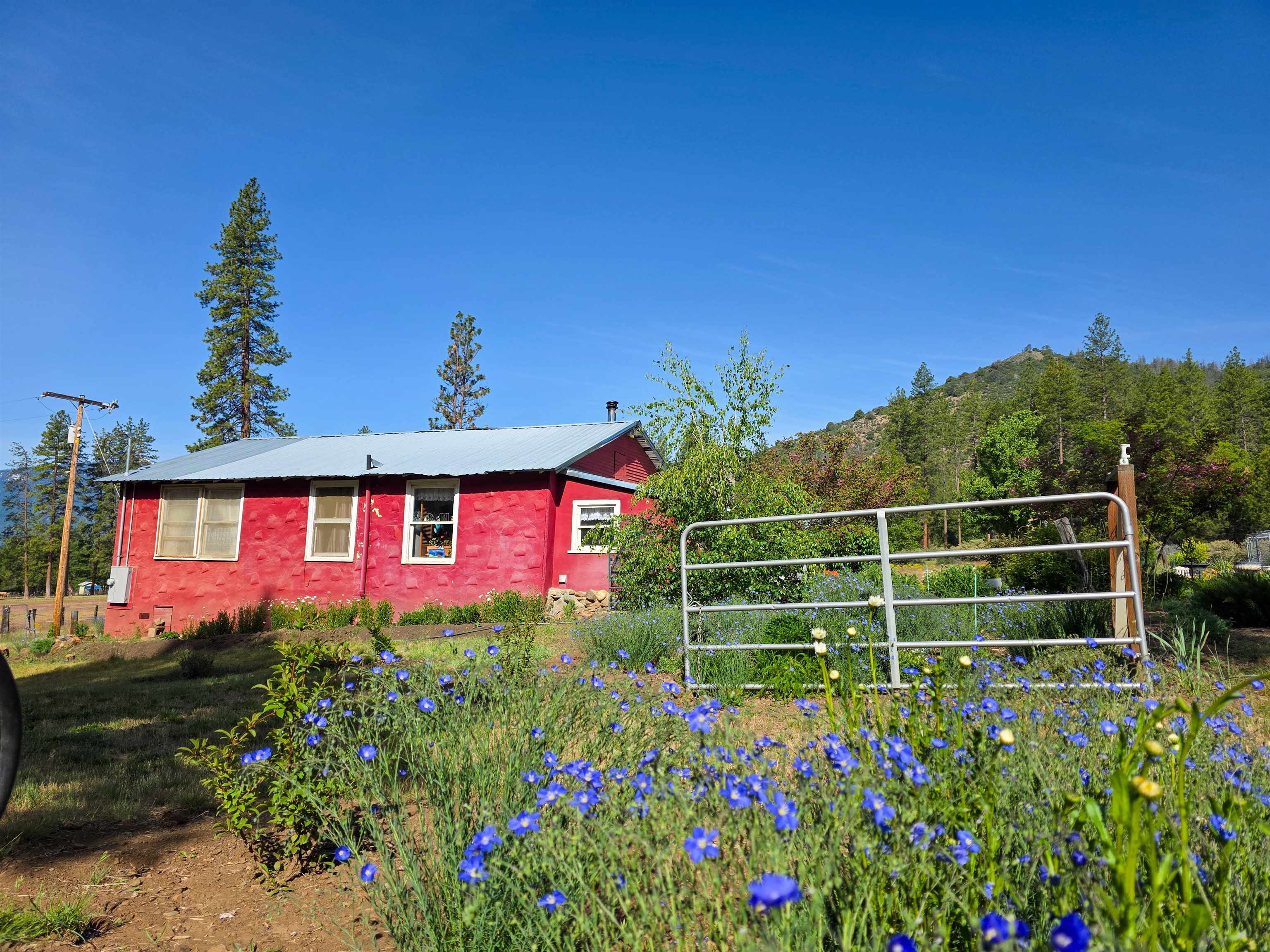 13505 Tyler Gulch Road