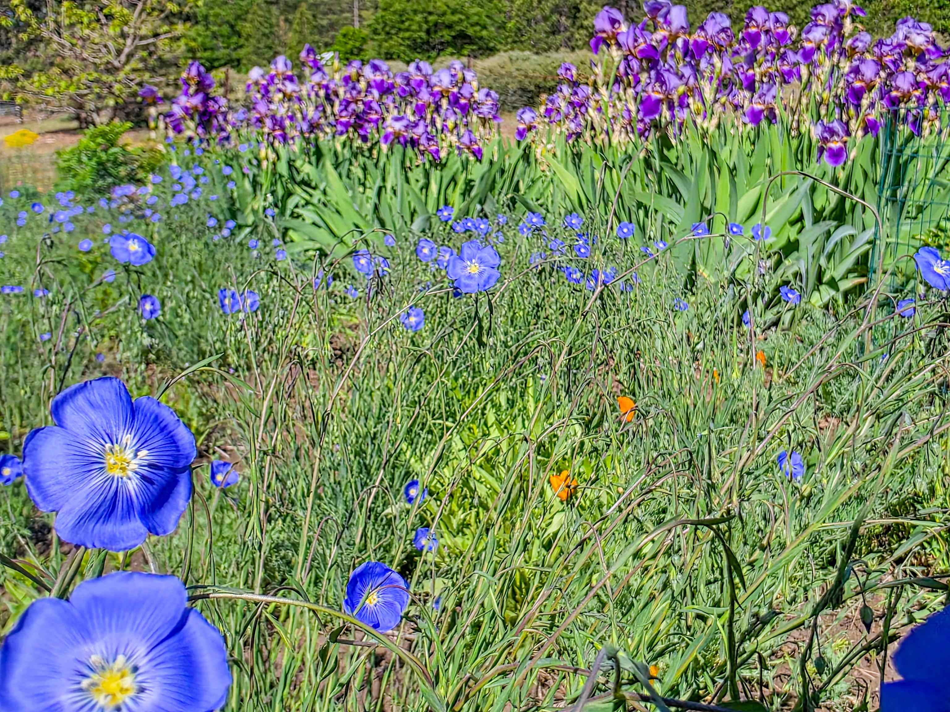 13505 Tyler Gulch Road