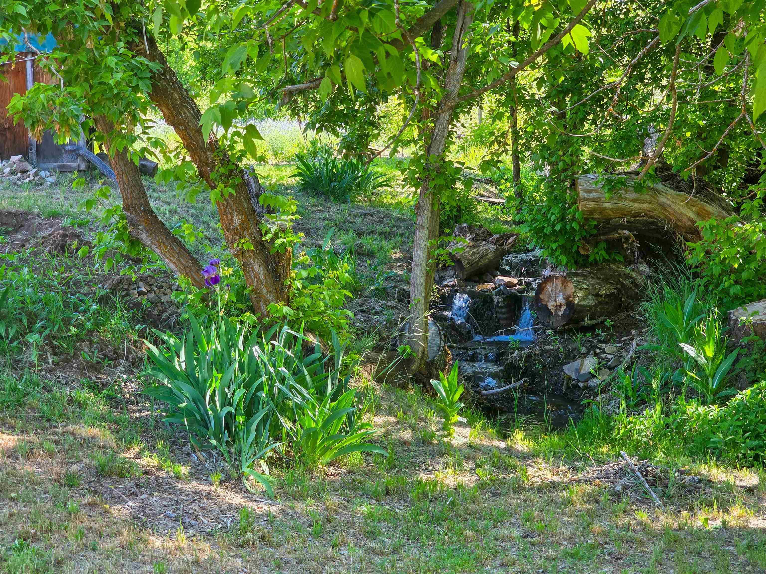 13505 Tyler Gulch Road