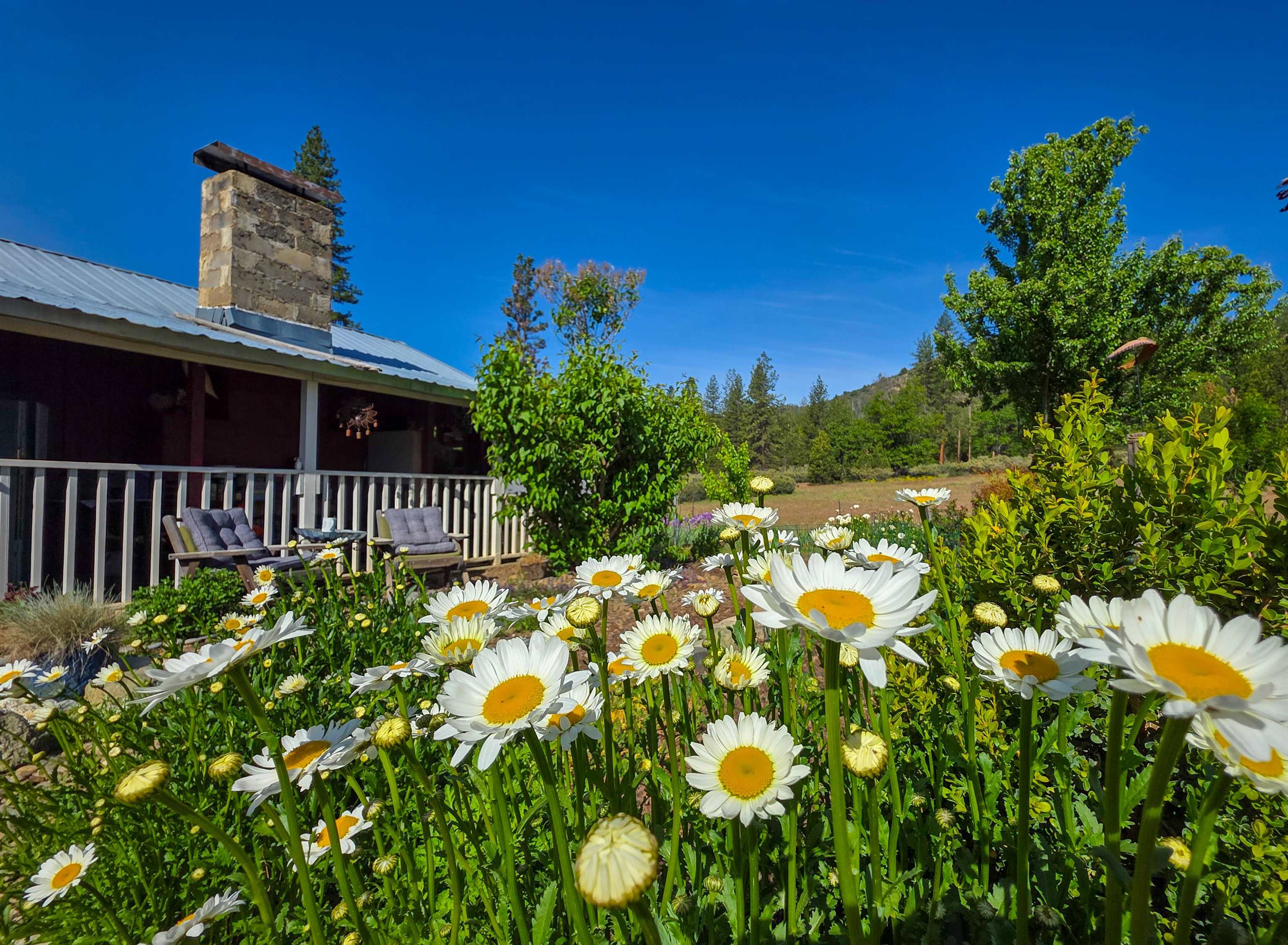 13505 Tyler Gulch Road