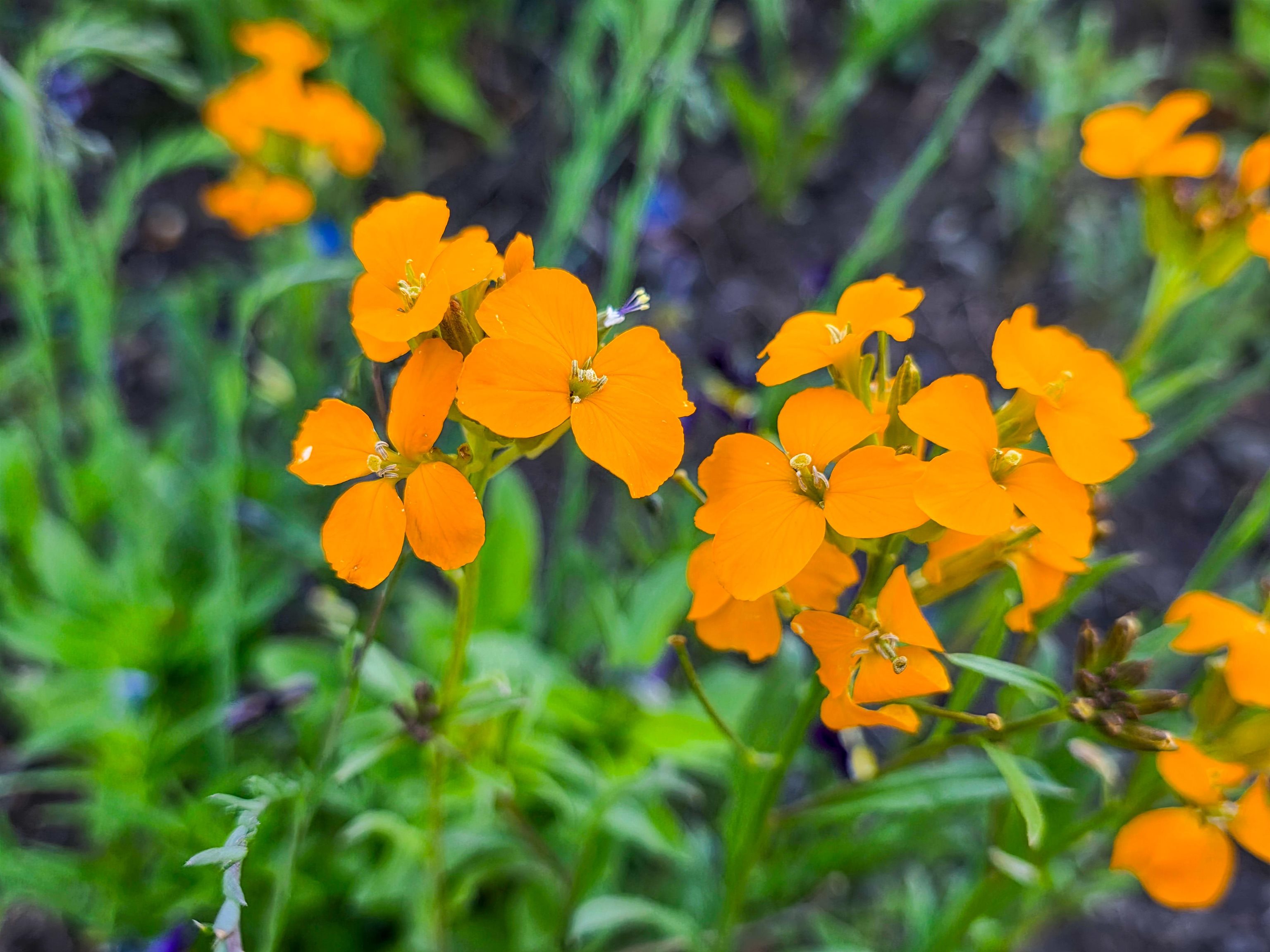 13505 Tyler Gulch Road