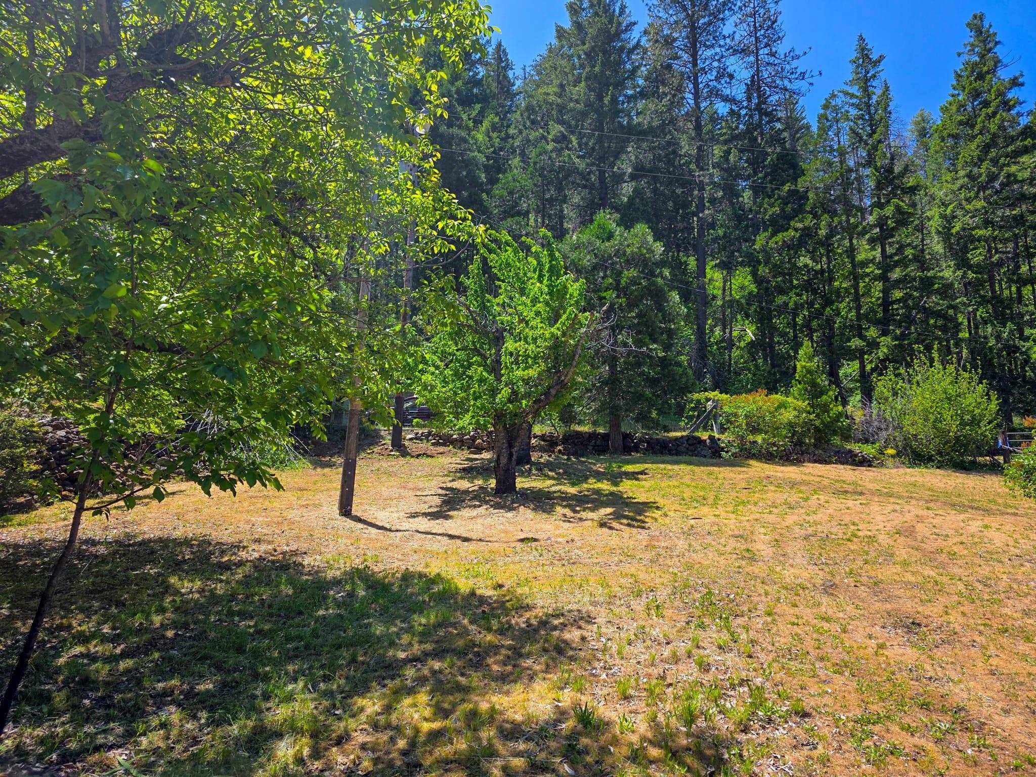 38703 State Highway 96