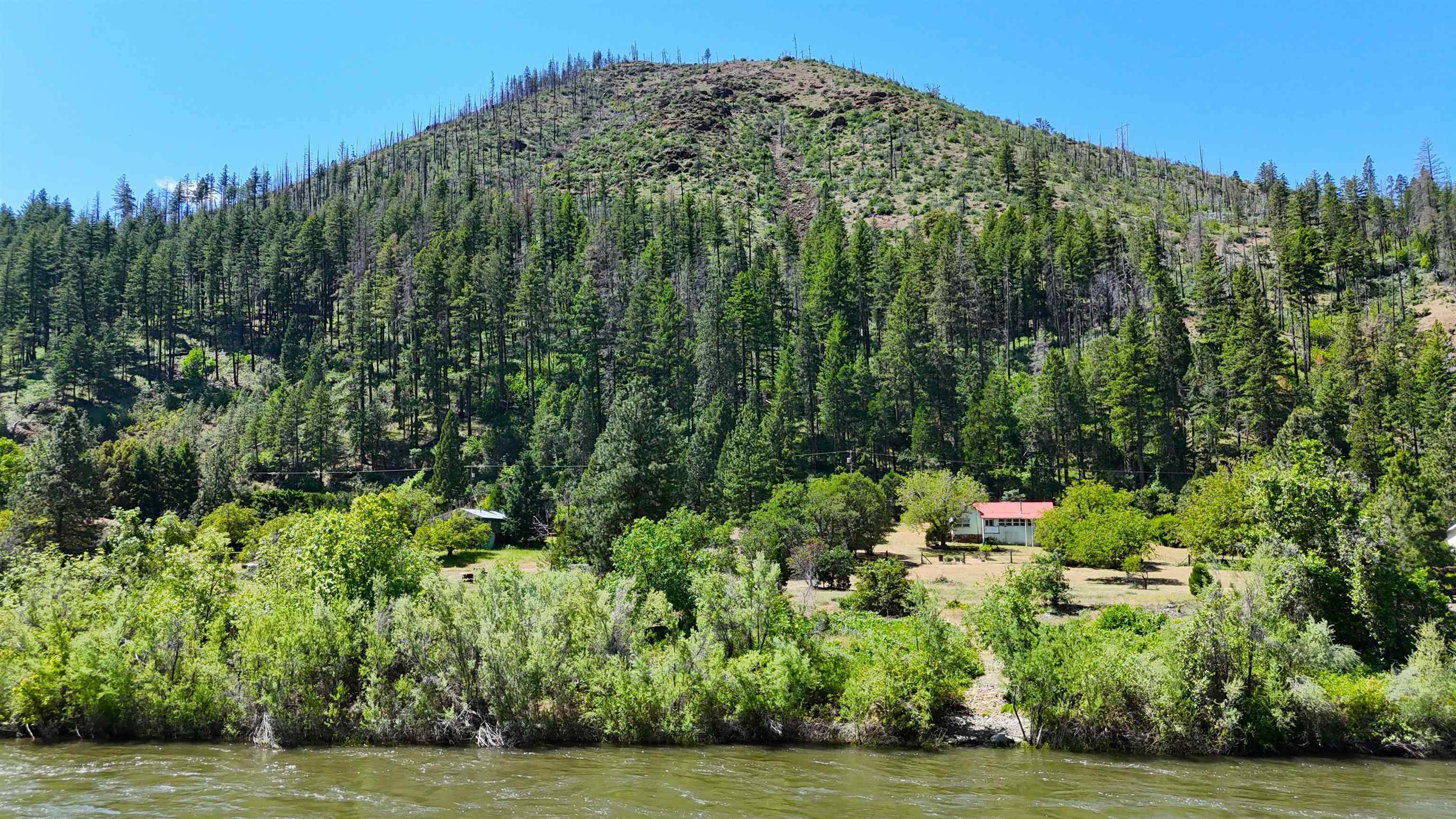 38703 State Highway 96