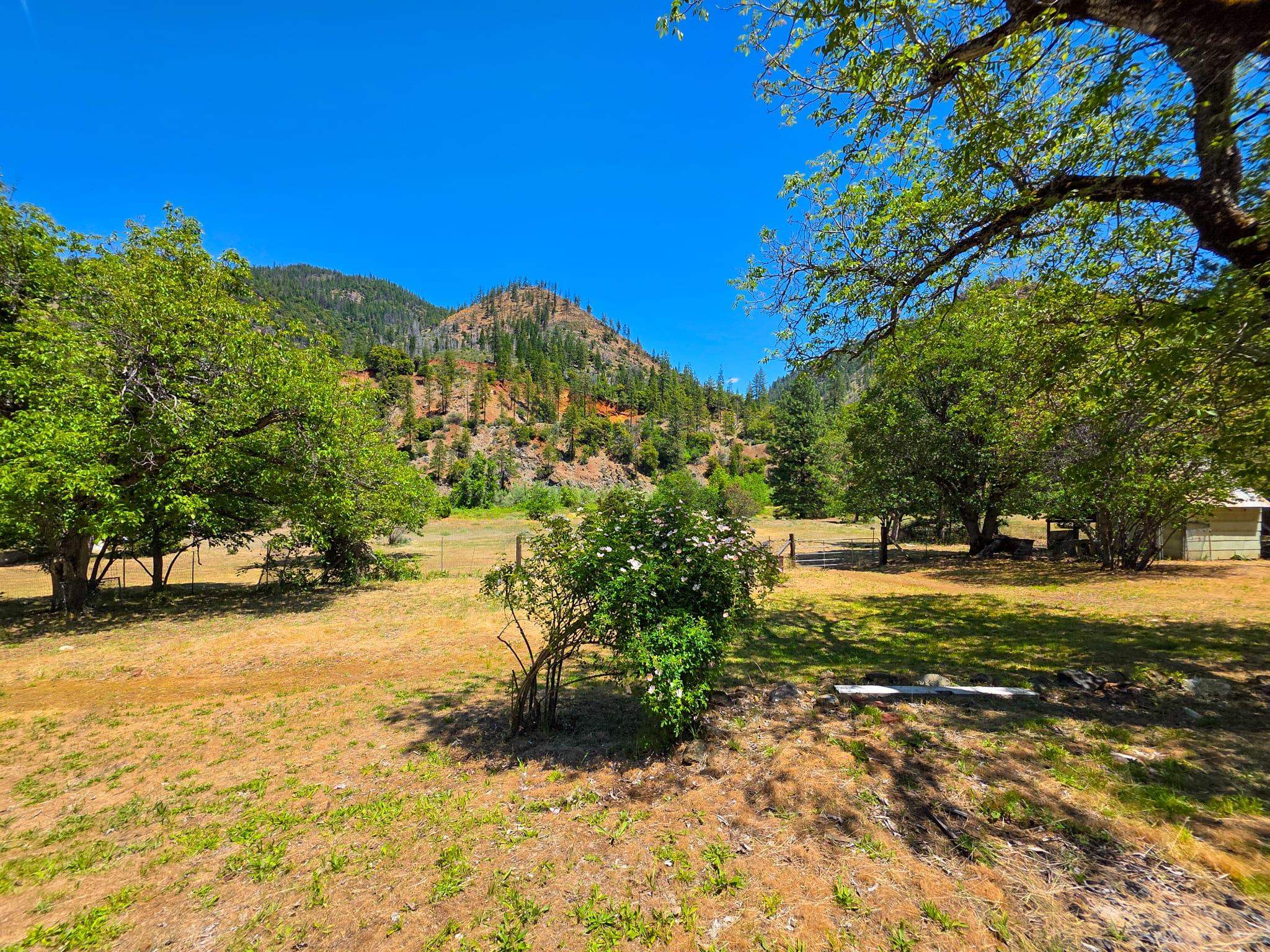 38703 State Highway 96