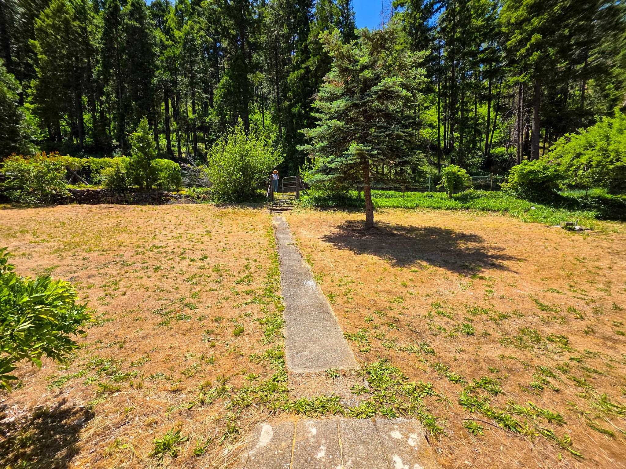 38703 State Highway 96