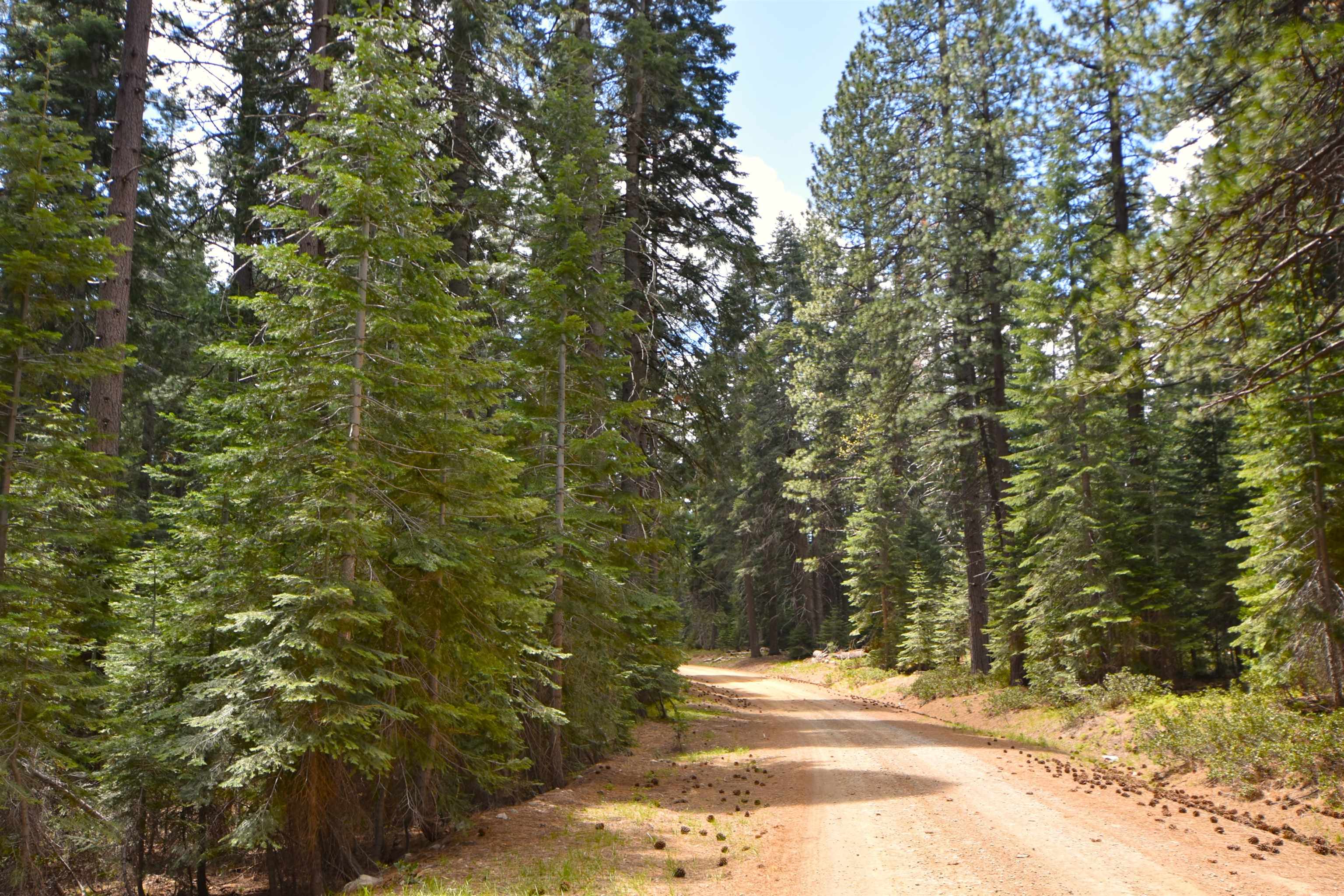 Lot 5 Twisted Pine Dr.