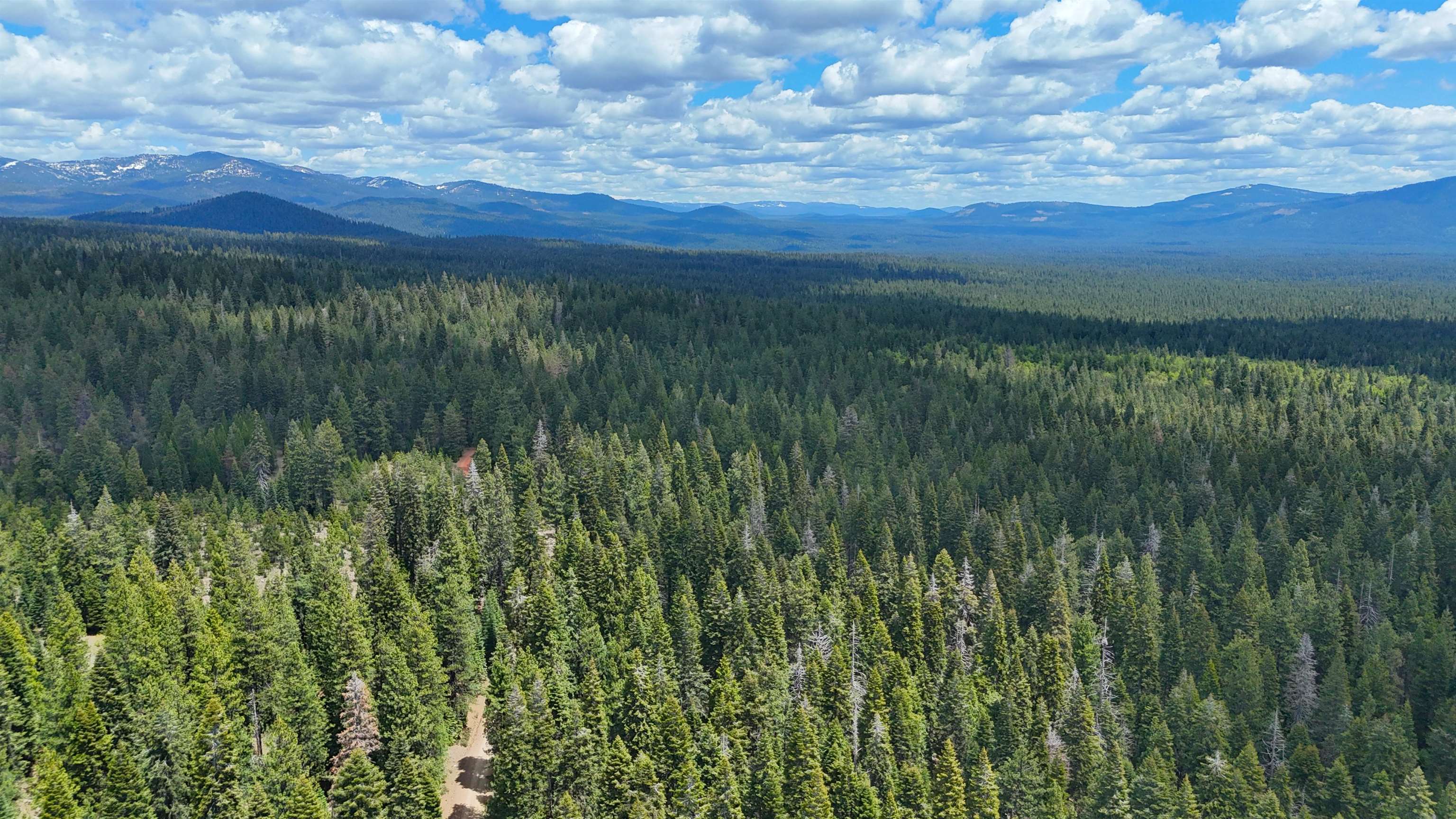 Lot 5 Twisted Pine Dr.