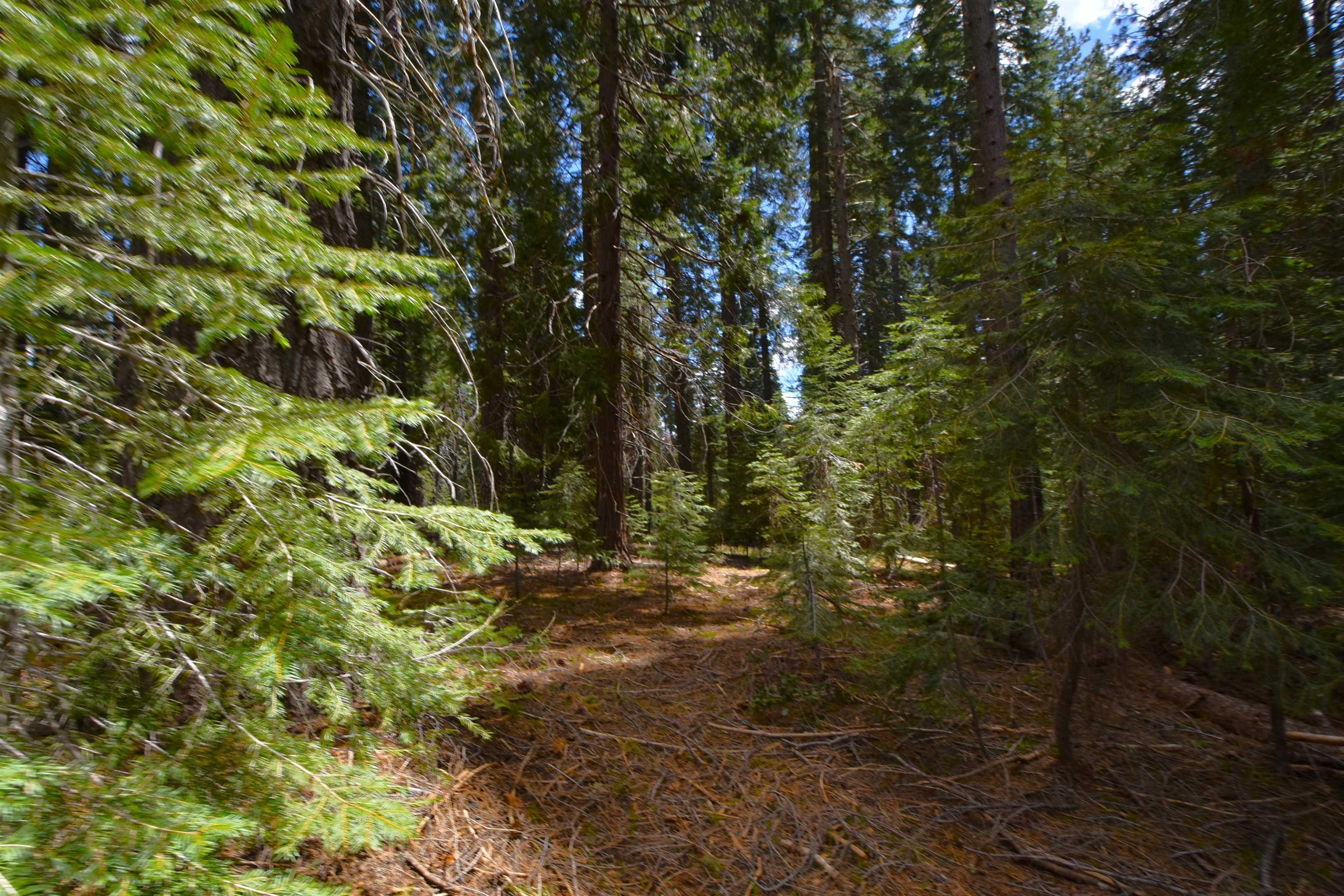 Lot 5 Twisted Pine Dr.