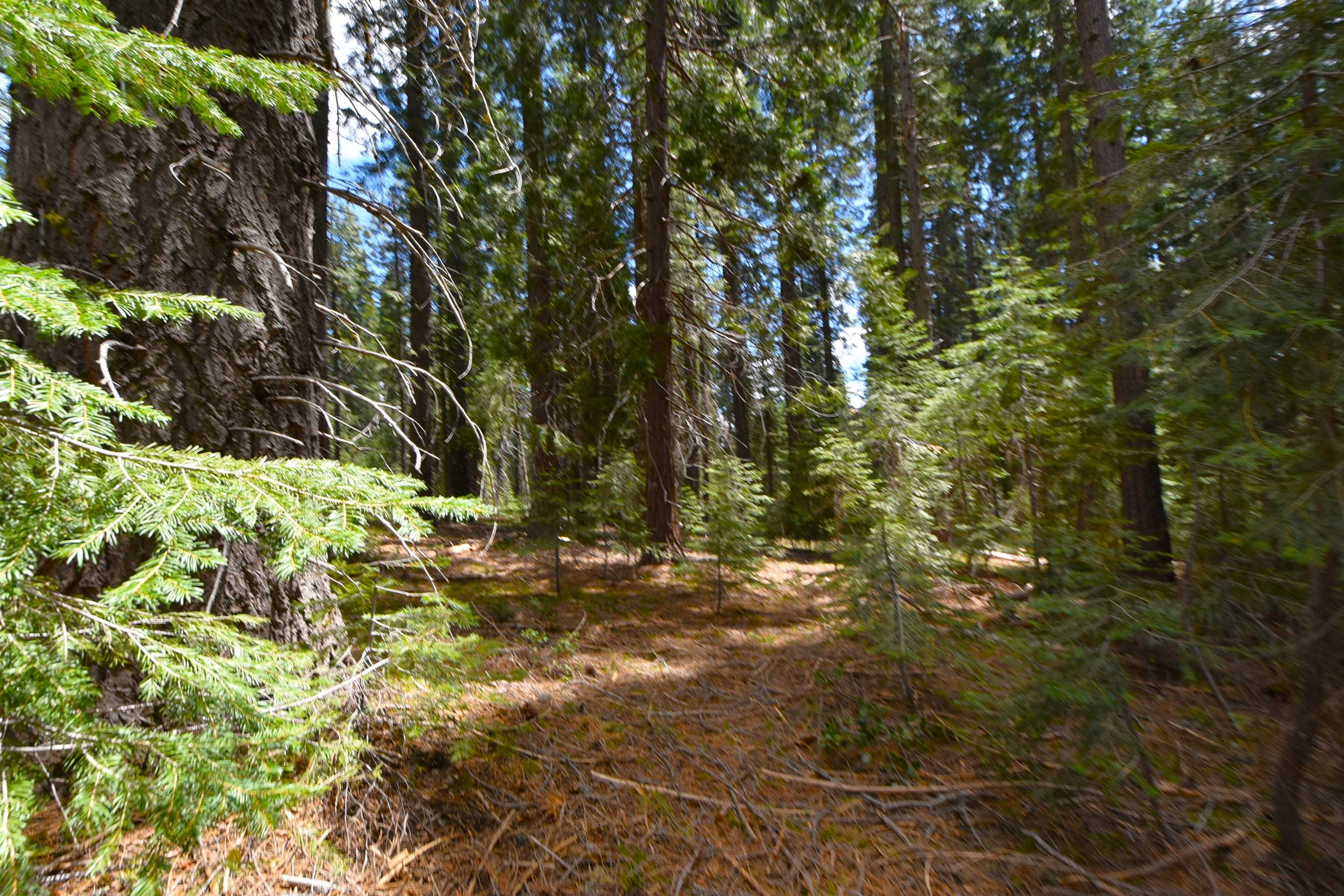 Lot 5 Twisted Pine Dr.