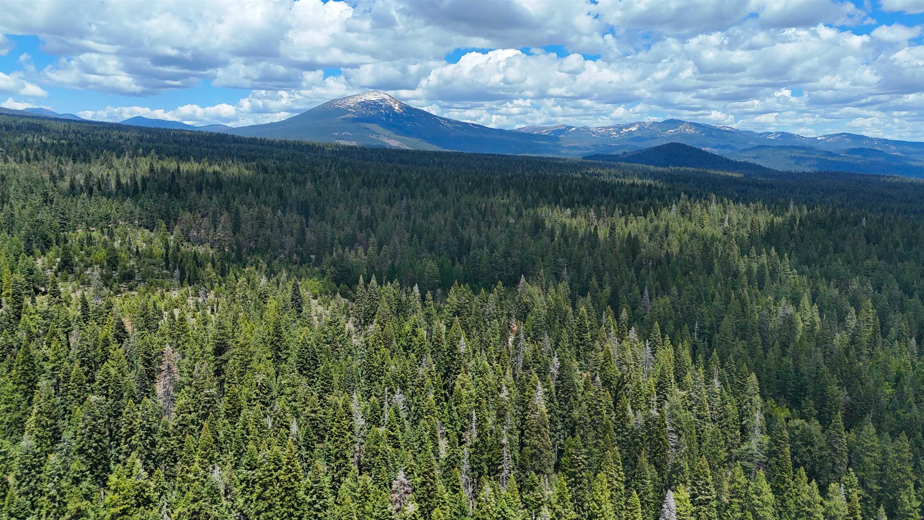 Lot 5 Twisted Pine Dr.